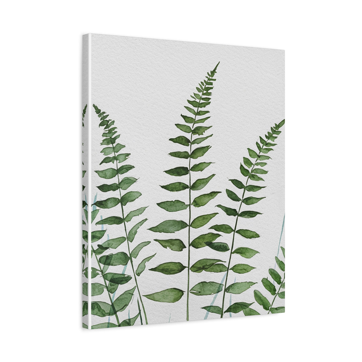 Fern Watercolor Canvas Art – Botanical Matte Stretched Wall Print