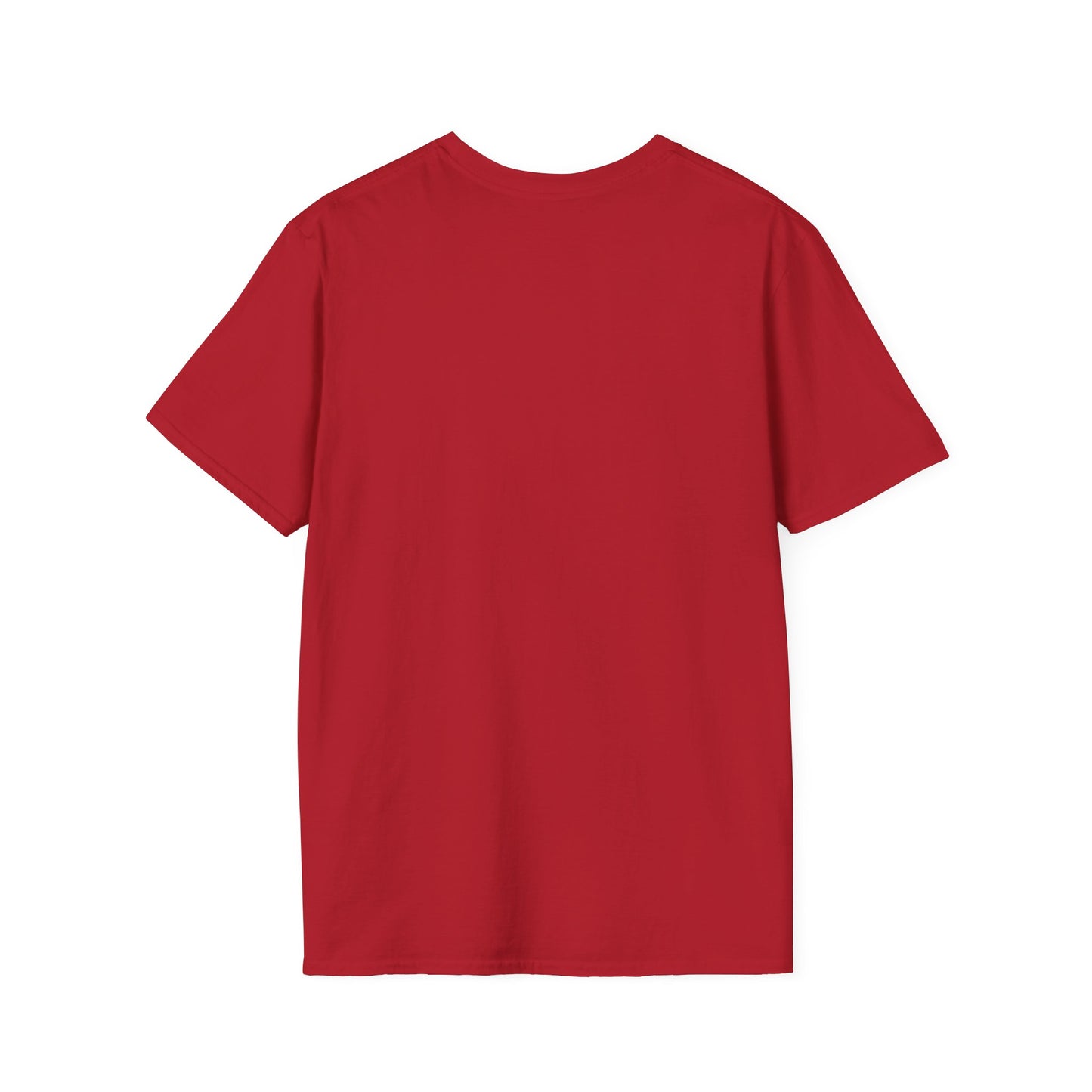 Cowgirl Summer Soft style T-Shirt for Horse Lovers