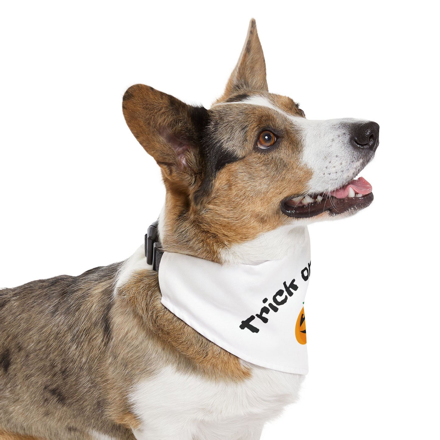Halloween Pet Bandana, Trick or Treat Dog Collar, Cute Pet Costume Accessory, Fall Pet Apparel, Dog Bandana