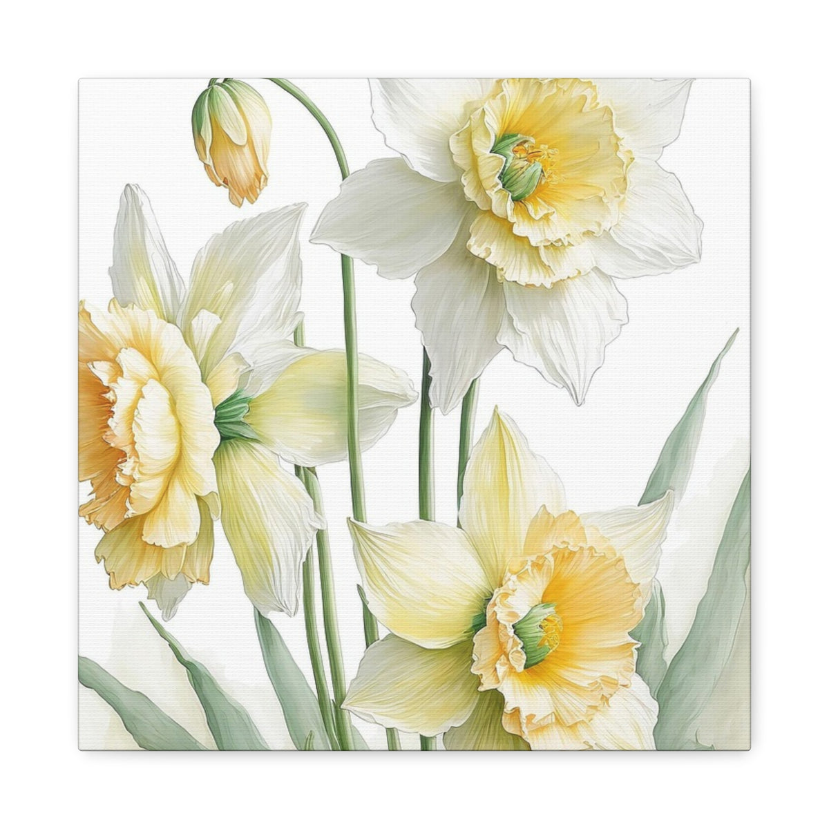 Matte Canvas, Stretched, 1.25" beautiful flowers white and yellow.