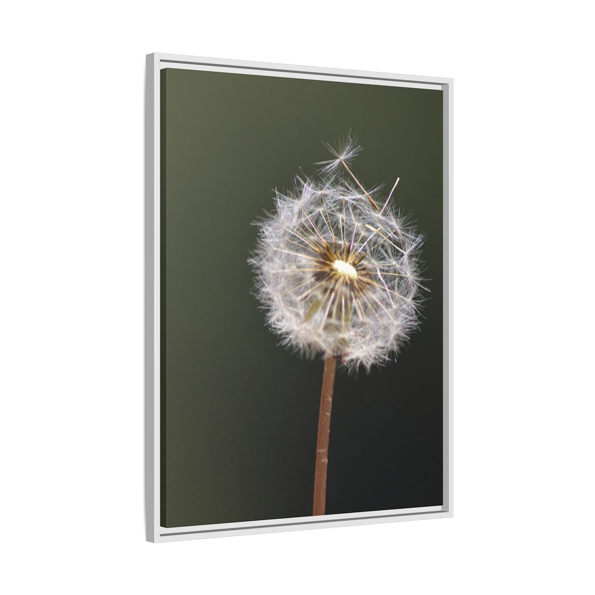 Framed Dandelion Canvas Print — Matte Botanical Wall Art