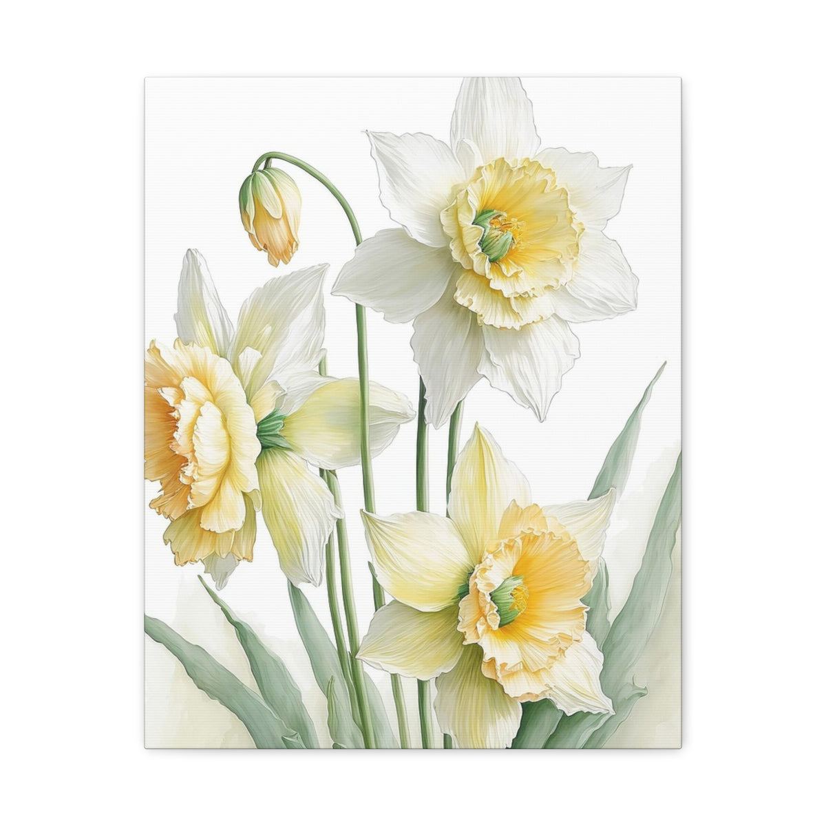 Matte Canvas, Stretched, 1.25" beautiful flowers white and yellow.