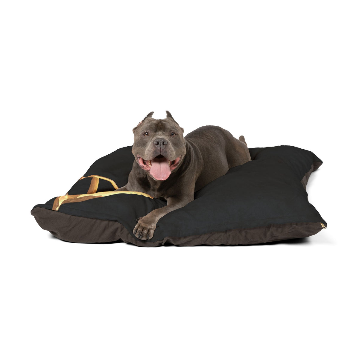 Personalized Pet Bed with Initial - Letter A Custom Dog Bed, Cozy Cat Bed, Unique Pet Gift, Monogrammed Pet Pillow
