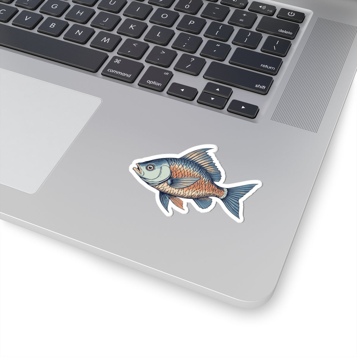 Fish Illustration Kiss-Cut Stickers, Fishing Decor, Laptop Stickers