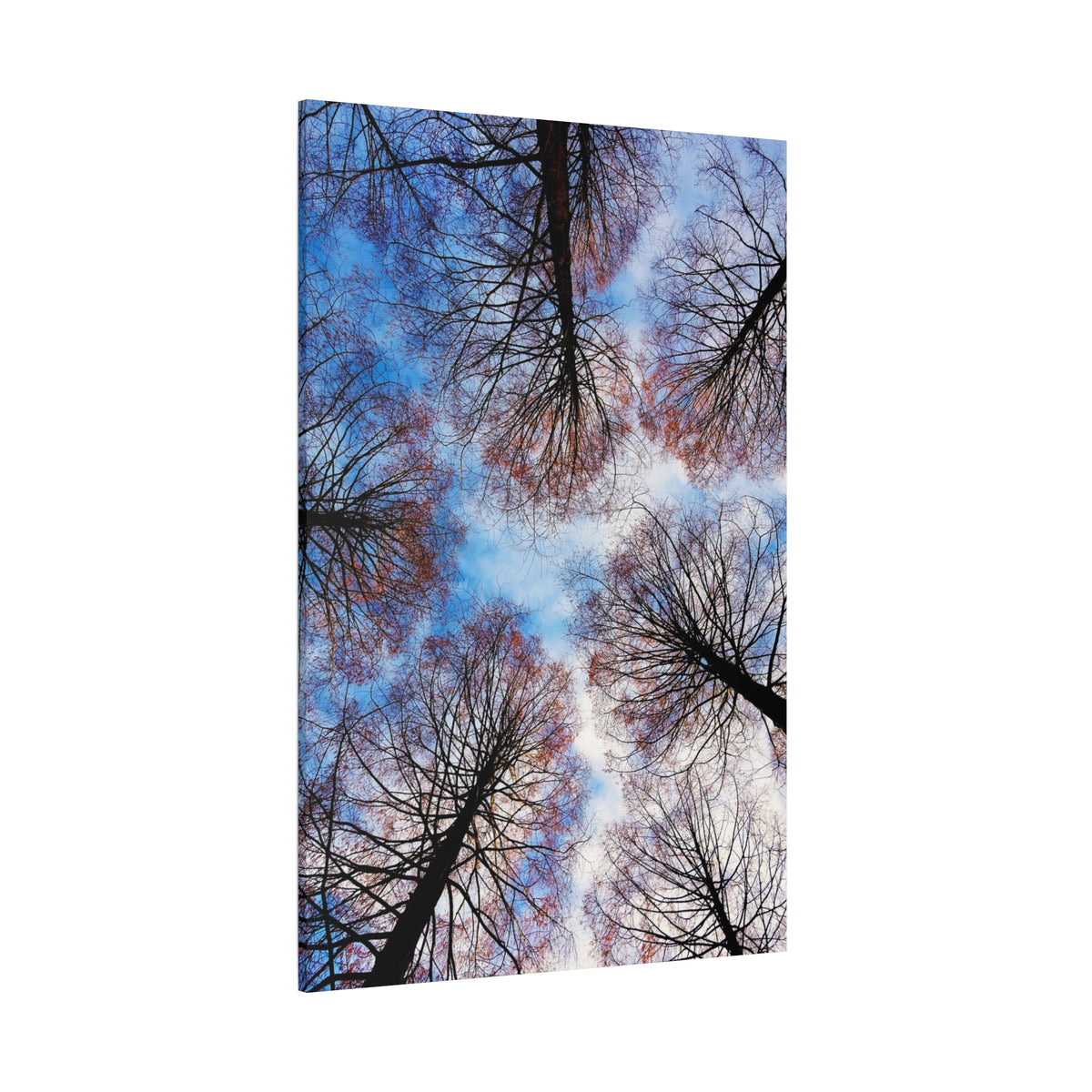 Winter Tree Canopy Matte Canvas Wall Art — Stretched 1.25"