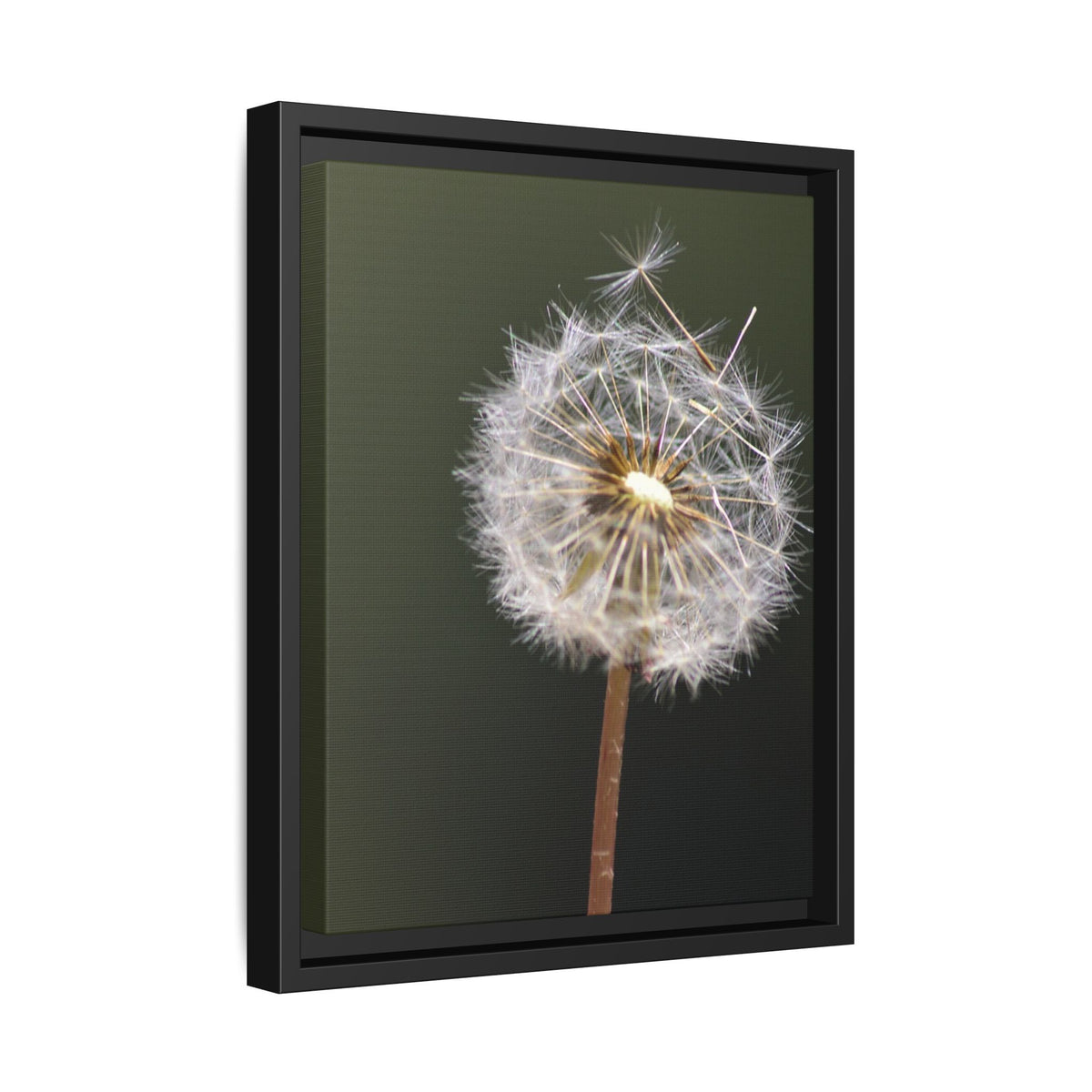 Framed Dandelion Canvas Print — Matte Botanical Wall Art