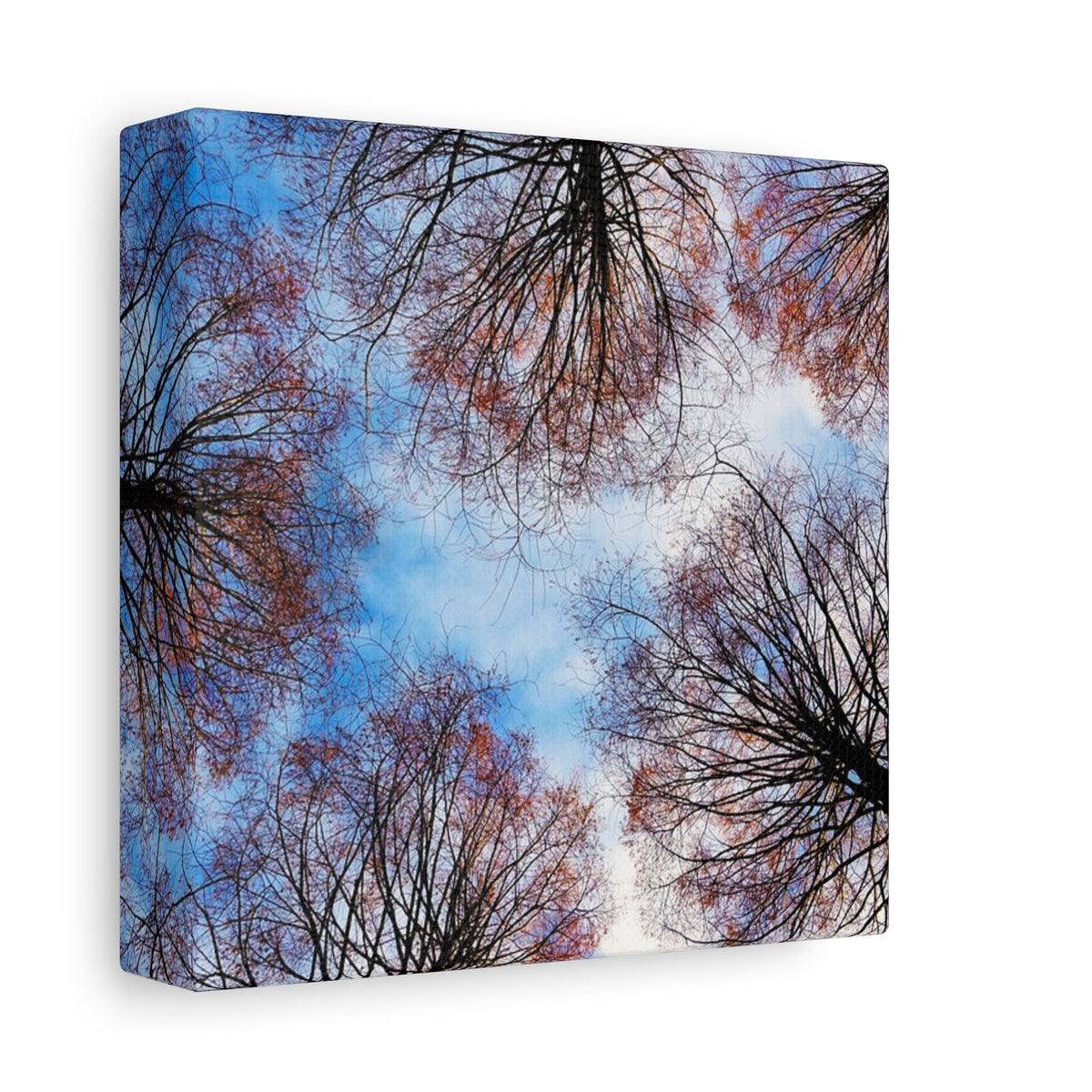 Winter Tree Canopy Matte Canvas Wall Art — Stretched 1.25"