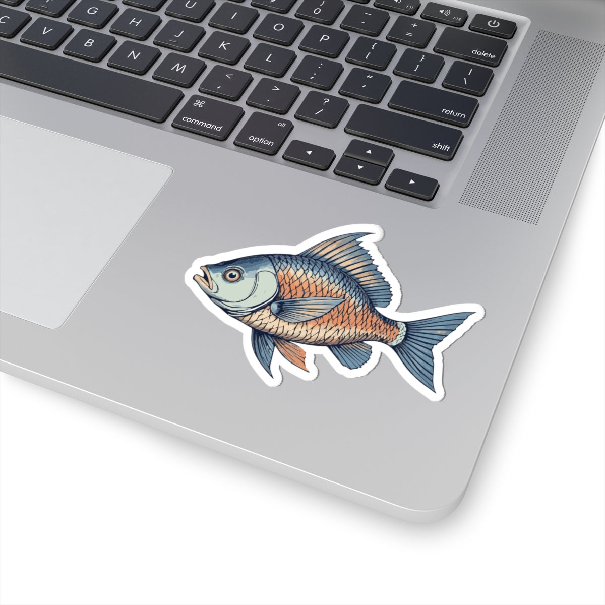 Fish Illustration Kiss-Cut Stickers, Fishing Decor, Laptop Stickers