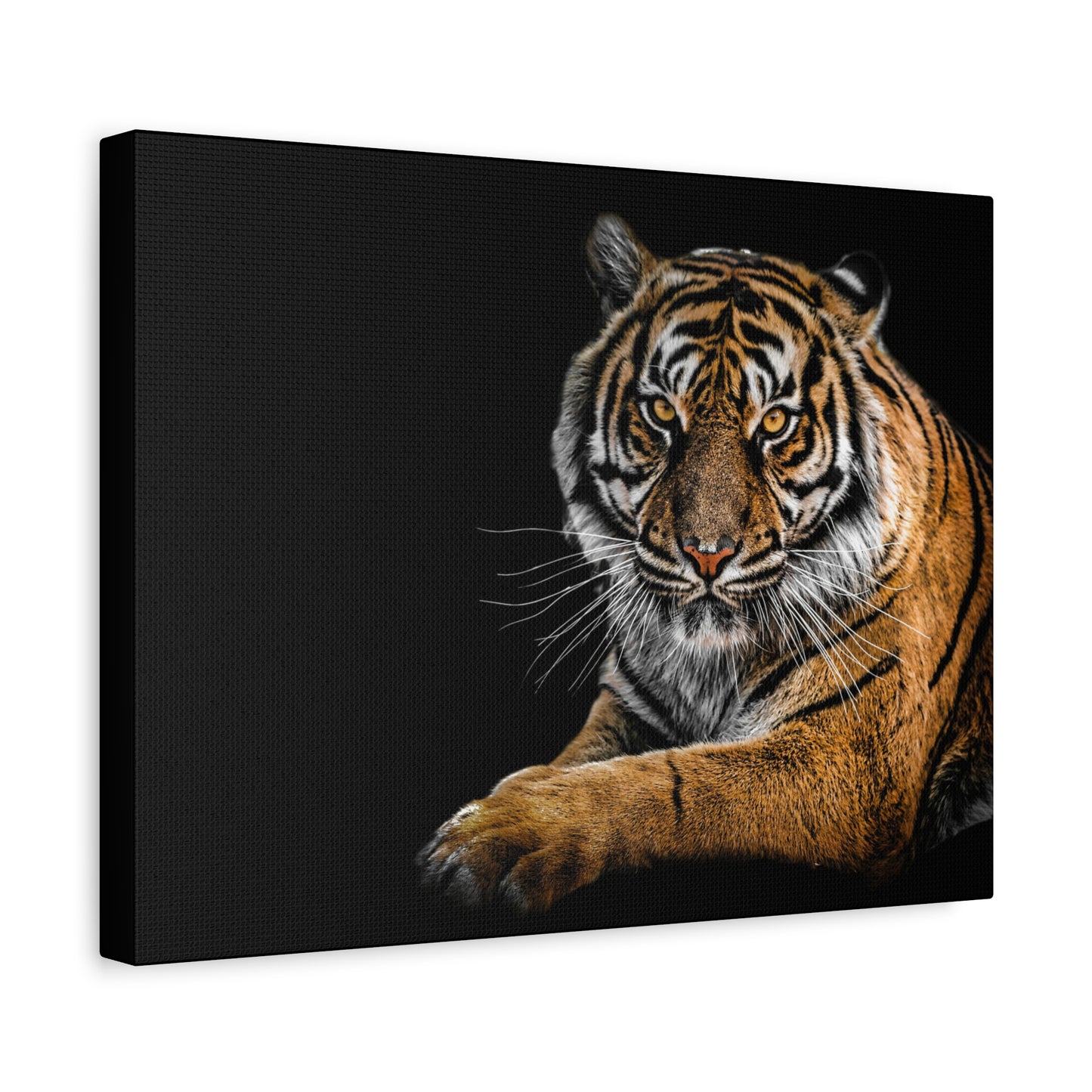 Majestic Tiger Canvas Art, Perfect for Animal Lovers, Home Decor, Gift for Wildlife Enthusiasts, Modern Wall Art, 1.25" Depth