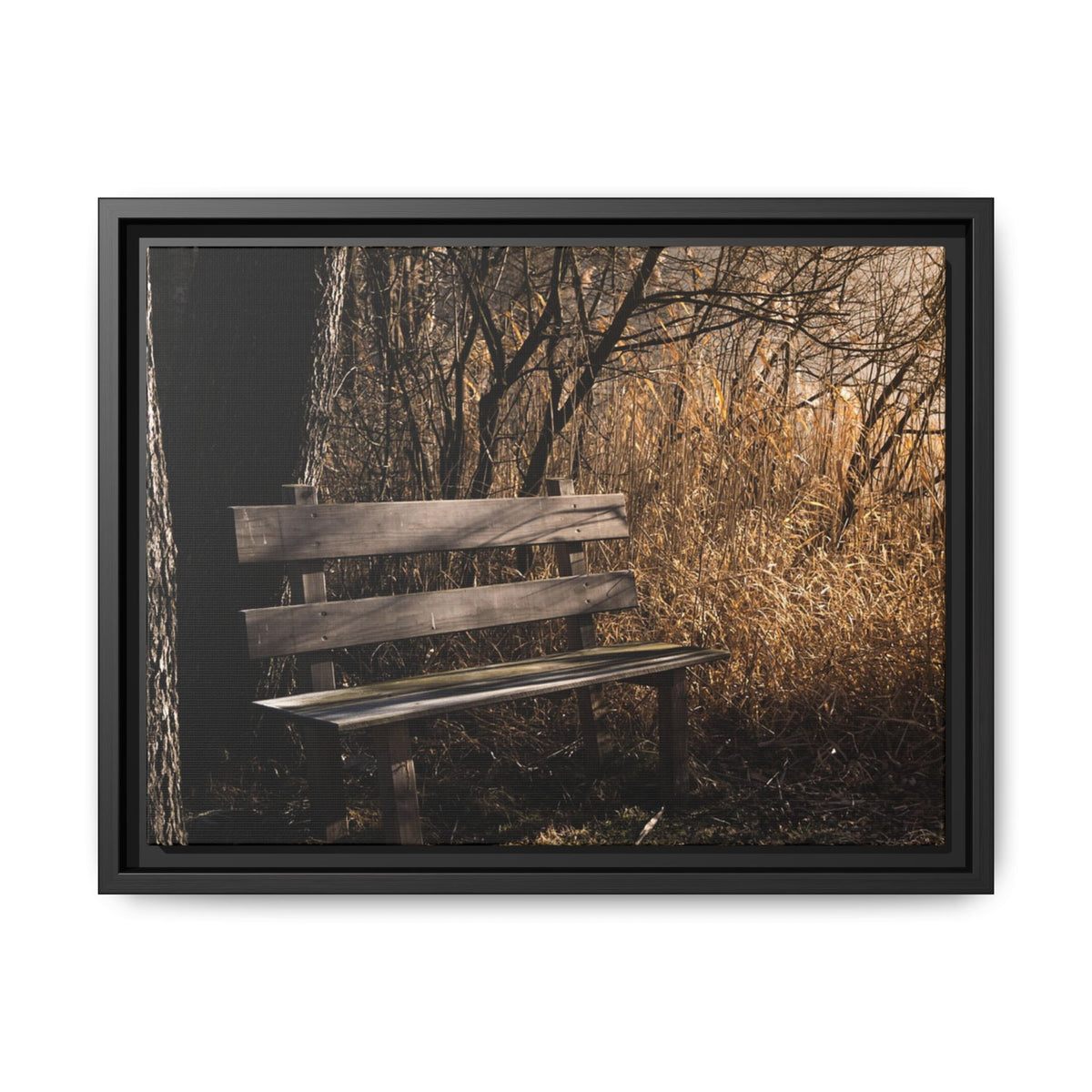 Framed Matte Canvas Print — Autumn Park Bench Photography