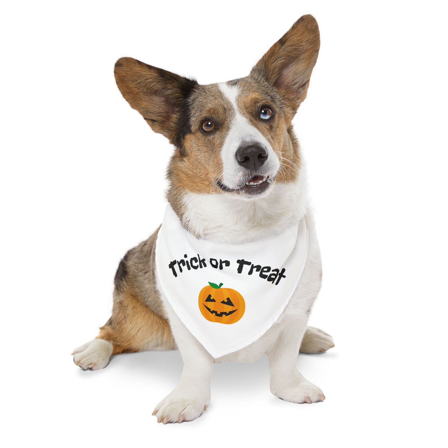 Halloween Pet Bandana, Trick or Treat Dog Collar, Cute Pet Costume Accessory, Fall Pet Apparel, Dog Bandana