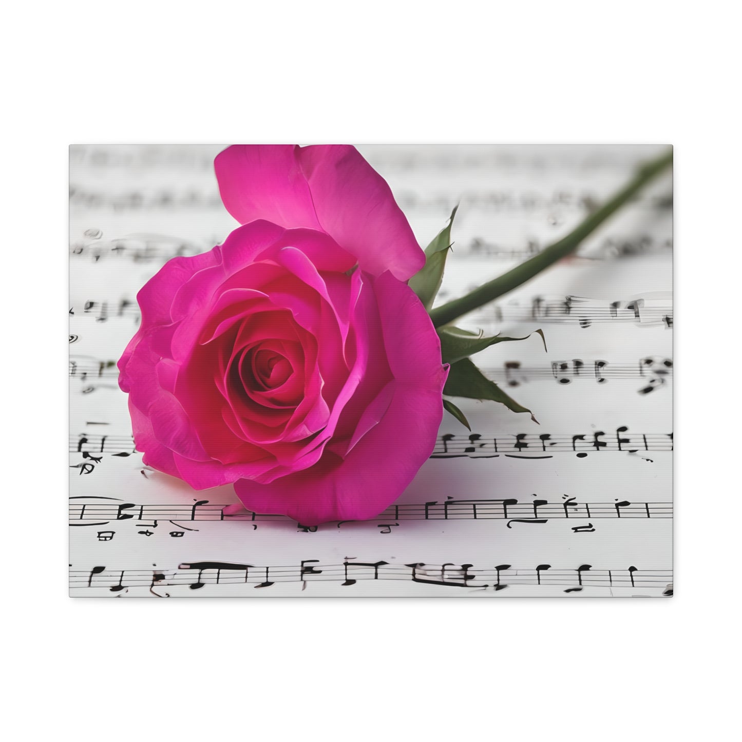 Stretched Canvas Art Print, Classic Rose on Sheet Music, Floral Wall Decor, Home Decoration, Gift for Music Lovers