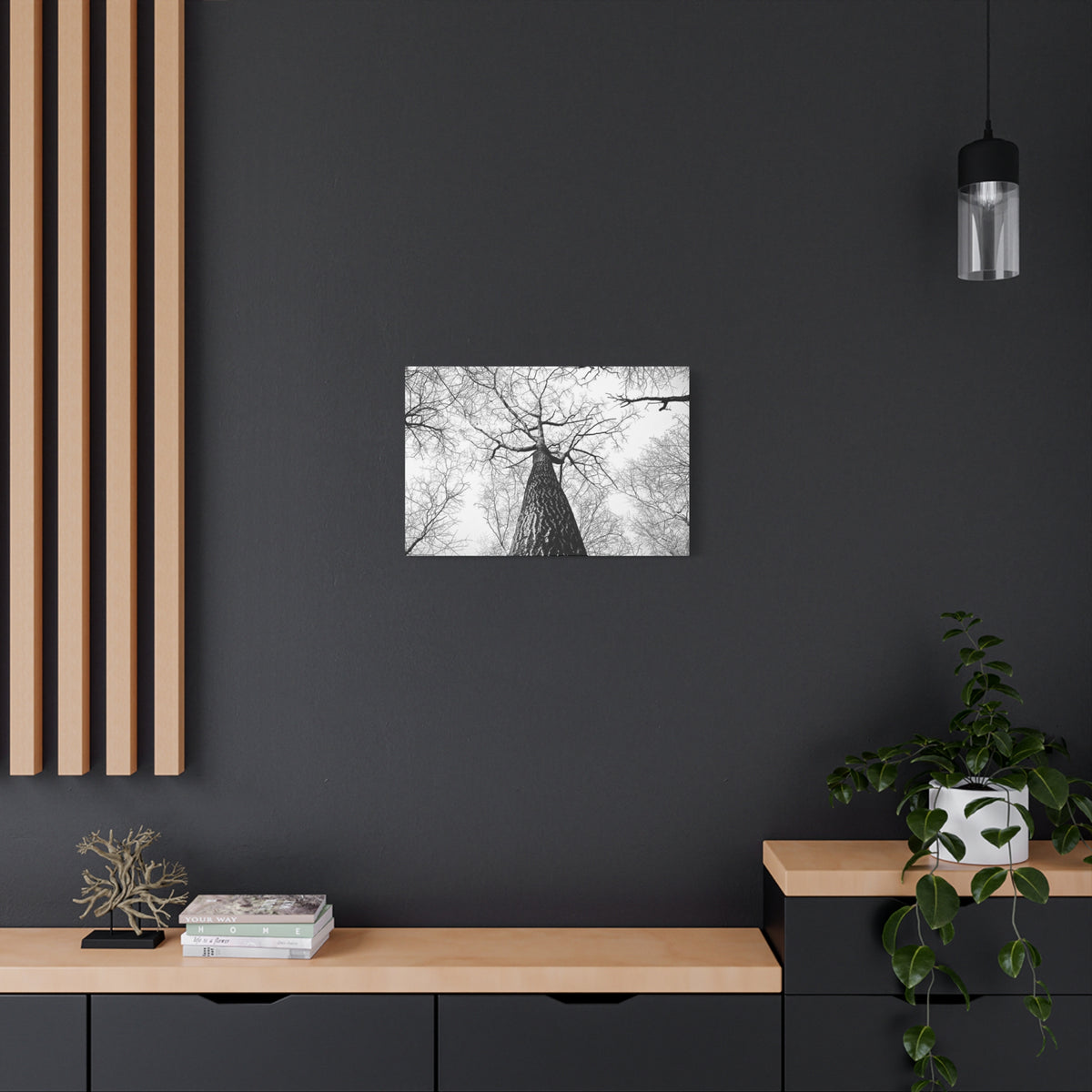 Black & White Tree Canopy Matte Canvas Wall Art — Upward Forest Photography