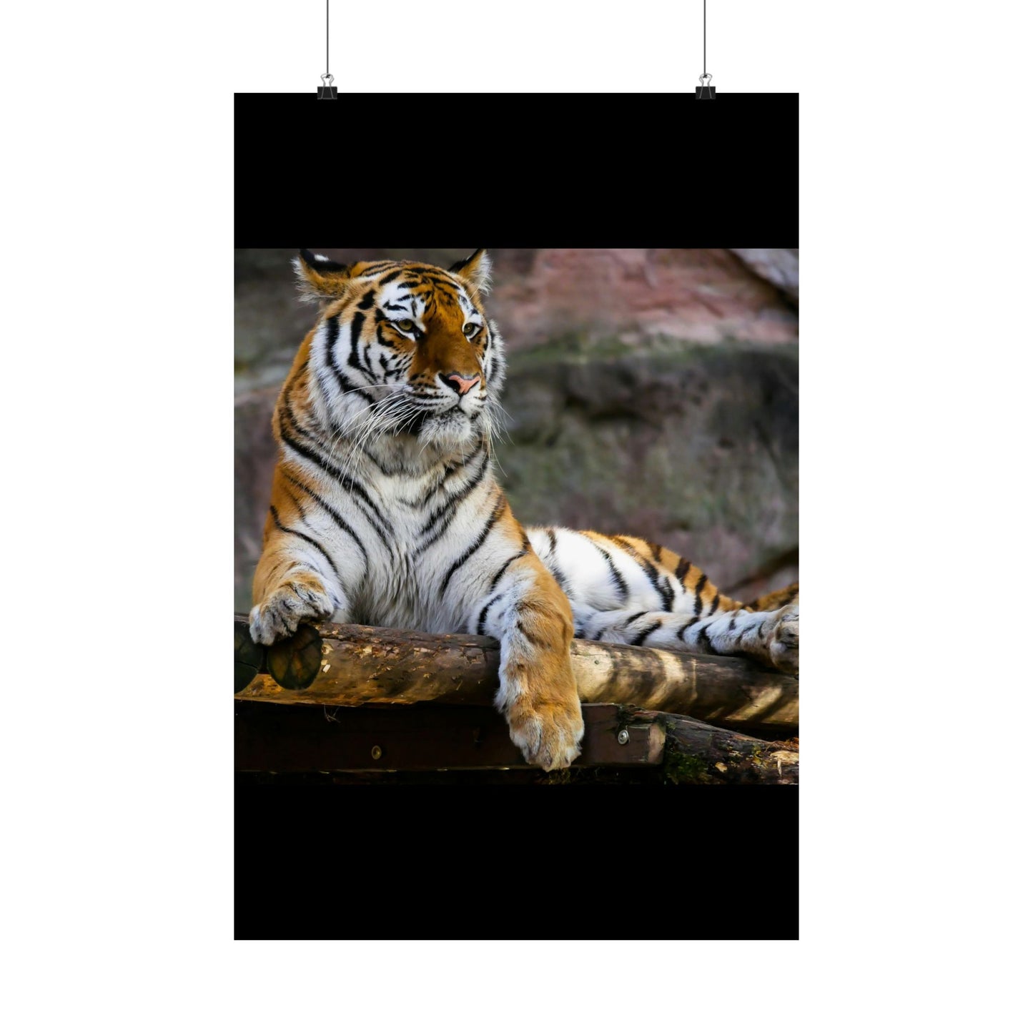 Majestic Tiger Matte Vertical Posters | Wall Art, Home Decor, Animal Print