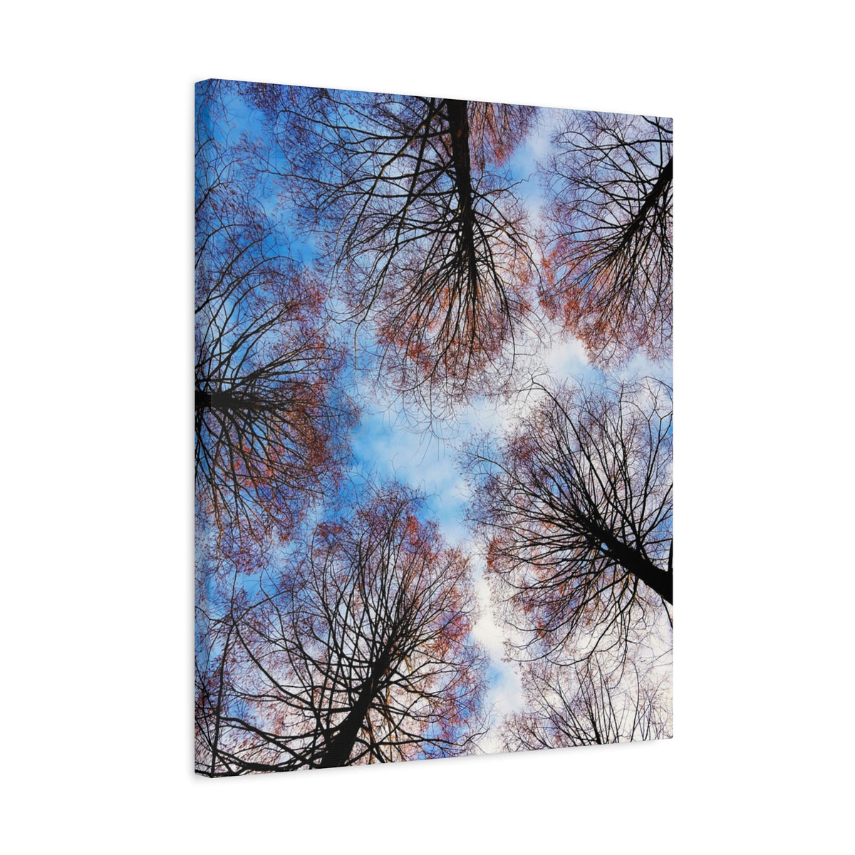 Winter Tree Canopy Matte Canvas Wall Art — Stretched 1.25"