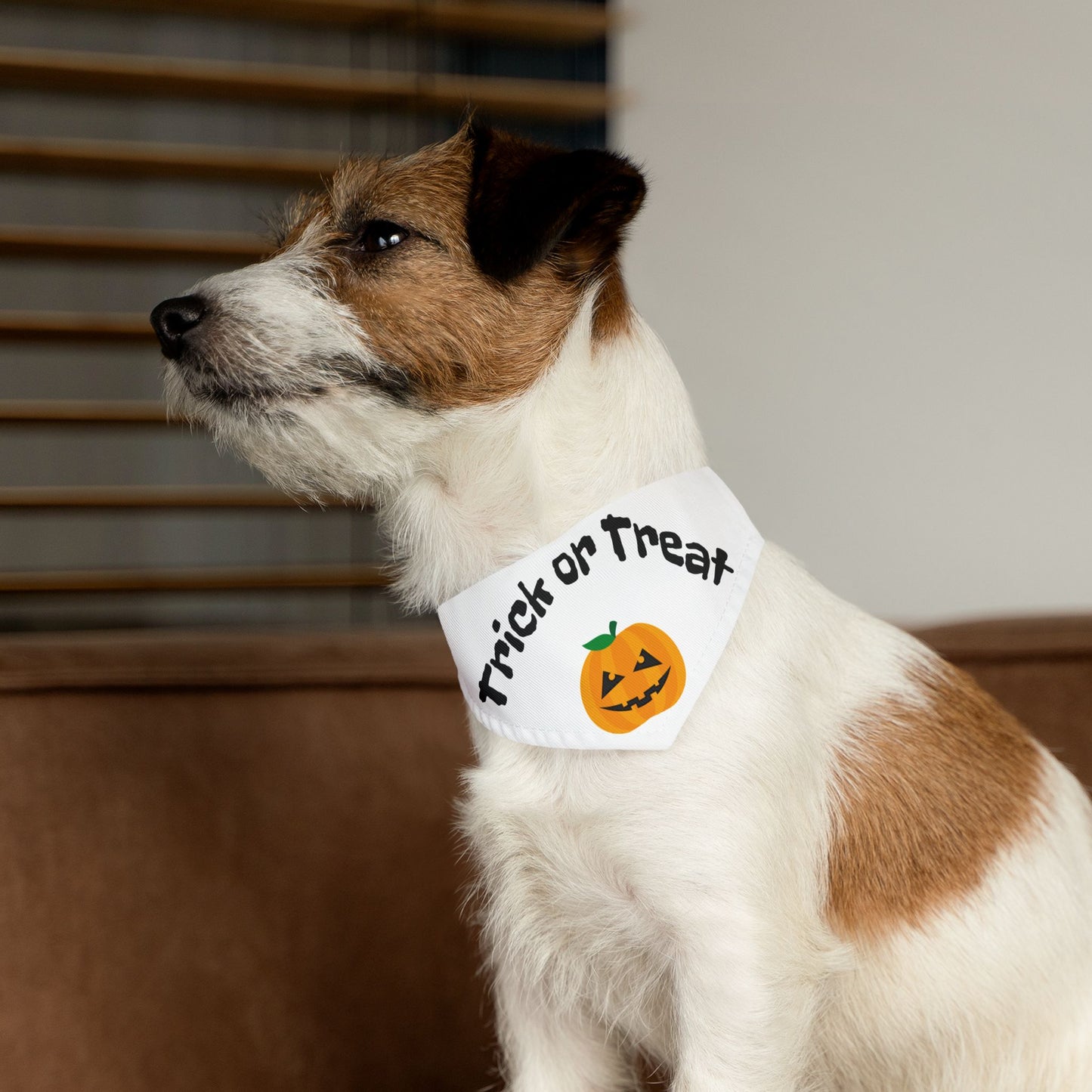 Halloween Pet Bandana, Trick or Treat Dog Collar, Cute Pet Costume Accessory, Fall Pet Apparel, Dog Bandana