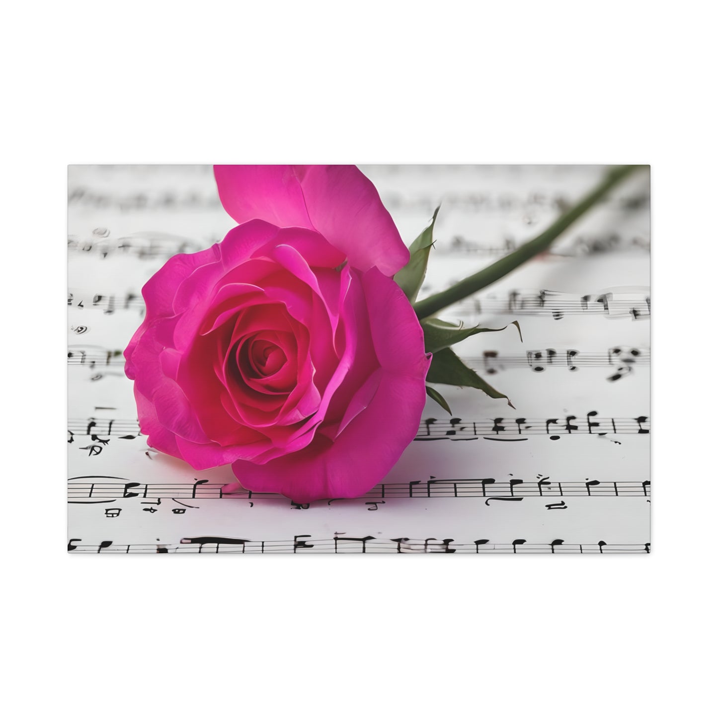 Stretched Canvas Art Print, Classic Rose on Sheet Music, Floral Wall Decor, Home Decoration, Gift for Music Lovers