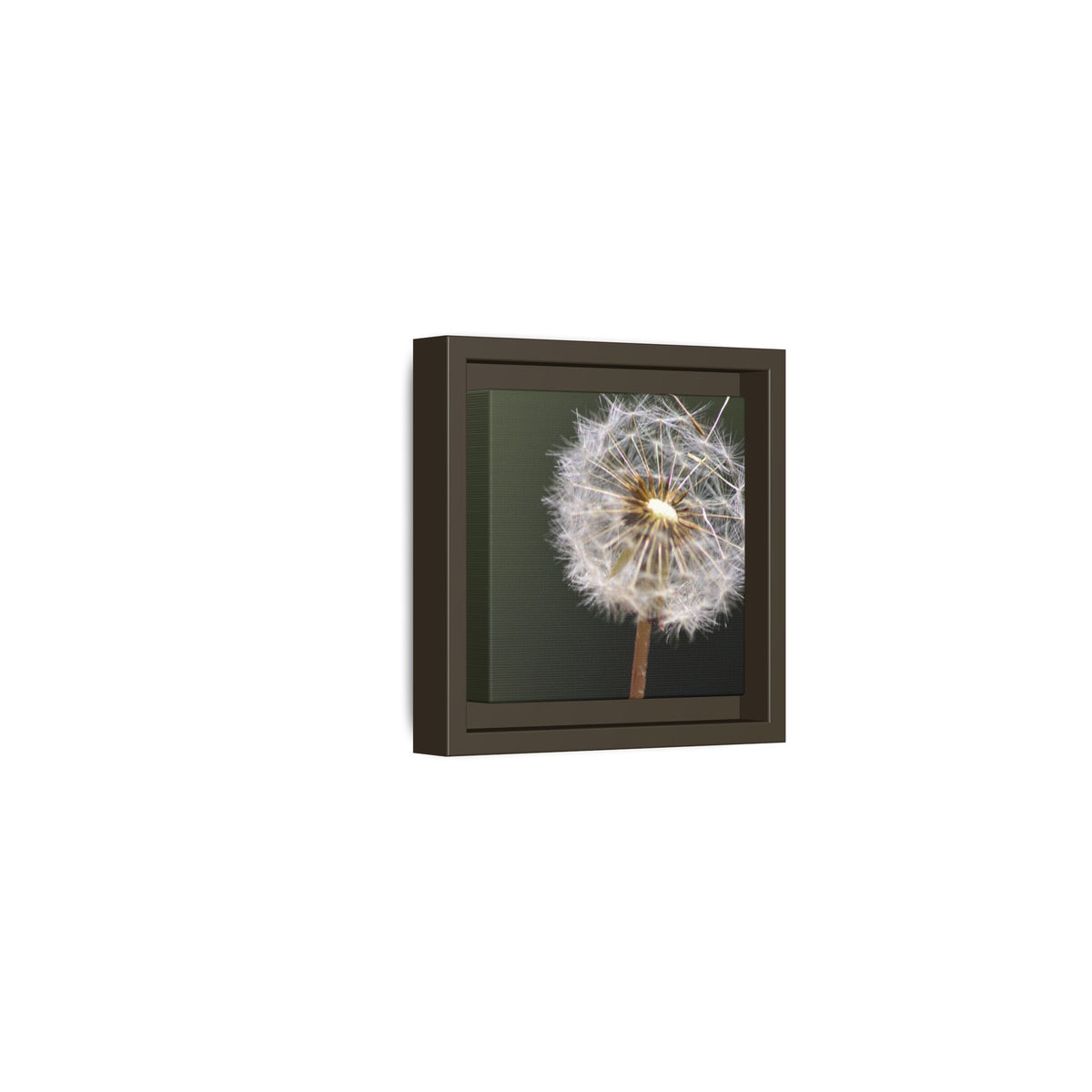 Framed Dandelion Canvas Print — Matte Botanical Wall Art
