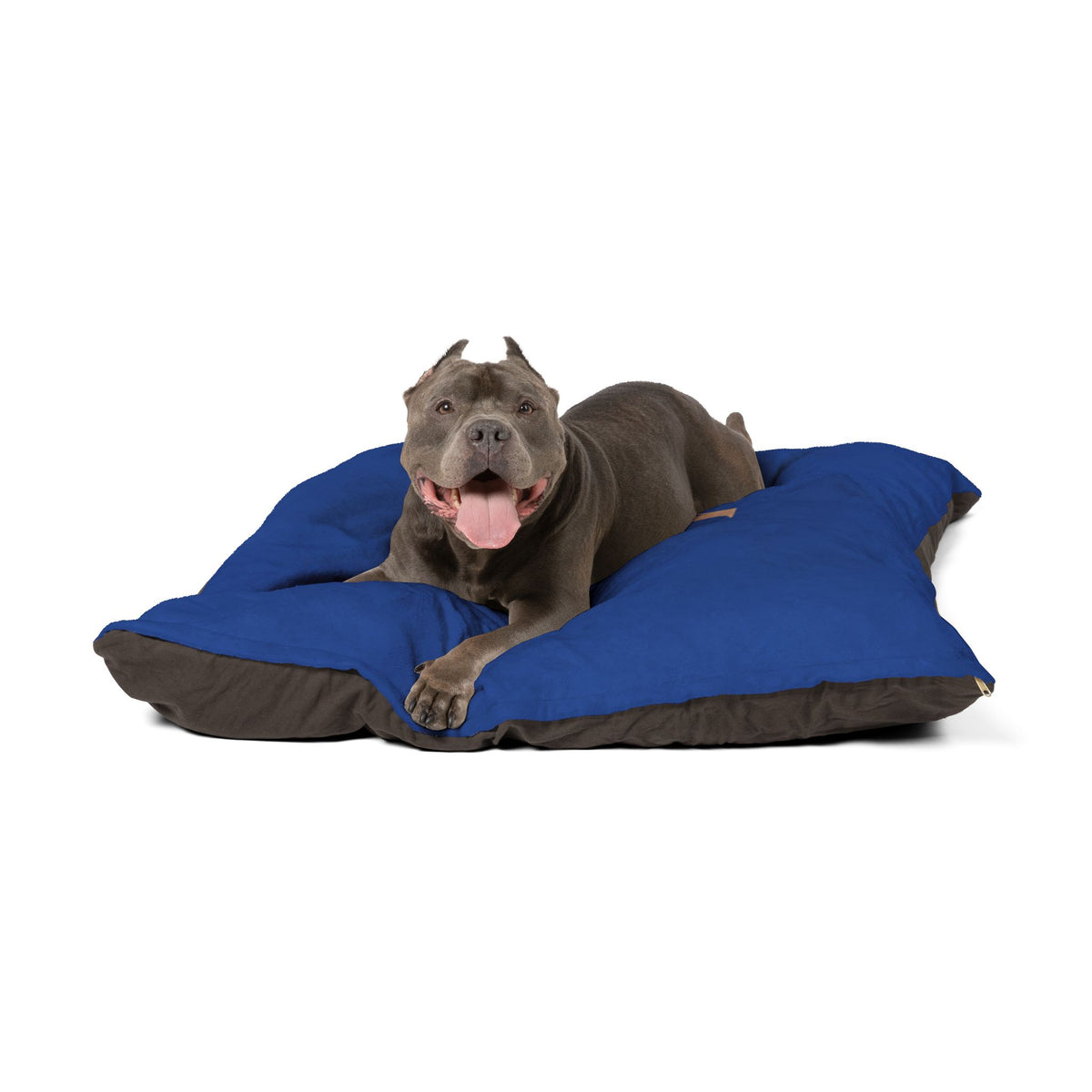 Personalized Luxury Pet Bed with Monogrammed Design, Cozy Dog Bed, Cat Bed, Custom Pet Accessories, Gift for Dog Lovers
