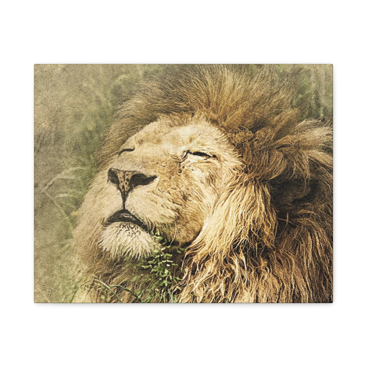 Lion Portrait Matte Canvas Print — Stretched 1.25" Wall Art