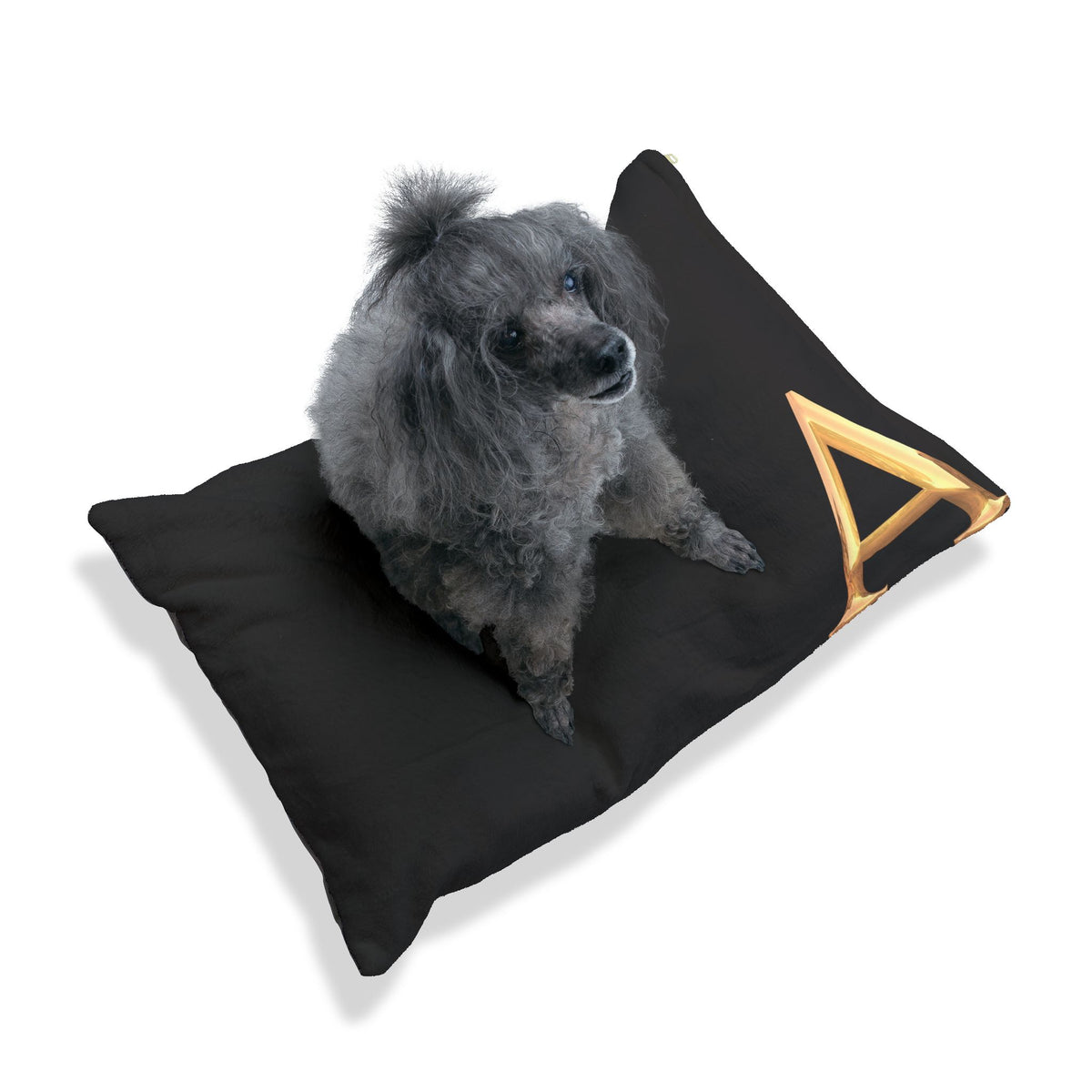 Personalized Pet Bed with Initial - Letter A Custom Dog Bed, Cozy Cat Bed, Unique Pet Gift, Monogrammed Pet Pillow