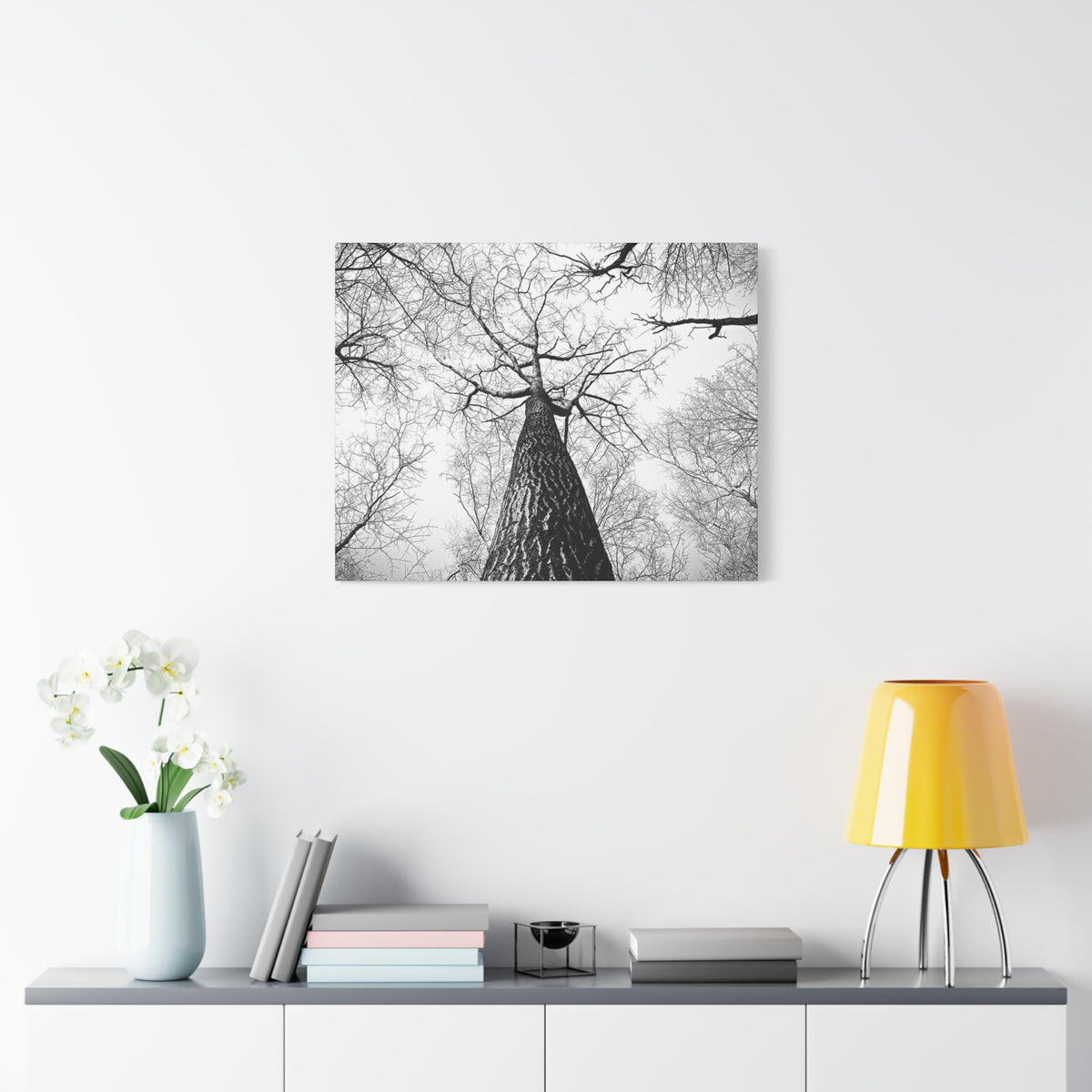 Black & White Tree Canopy Matte Canvas Wall Art — Upward Forest Photography