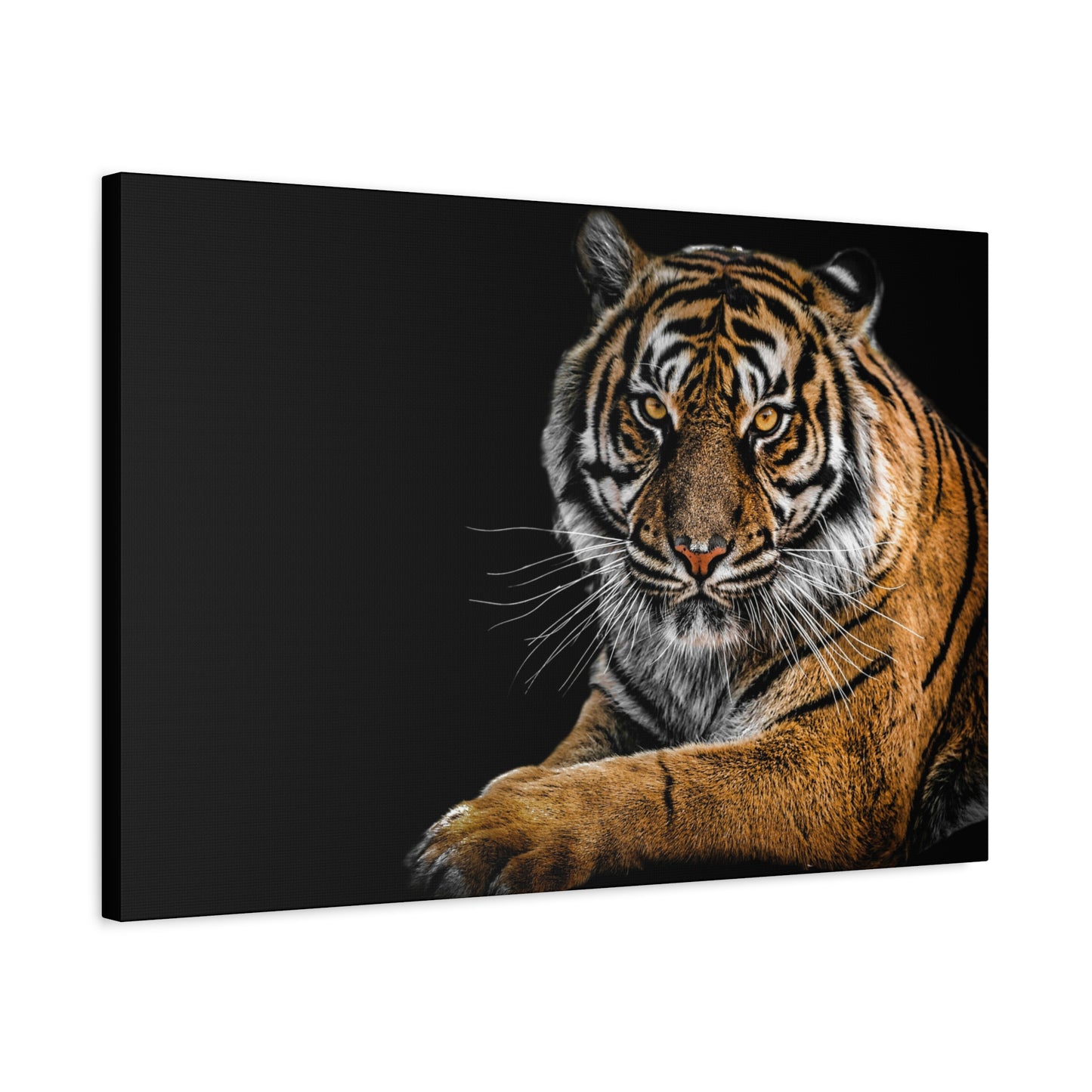 Majestic Tiger Canvas Art, Perfect for Animal Lovers, Home Decor, Gift for Wildlife Enthusiasts, Modern Wall Art, 1.25" Depth