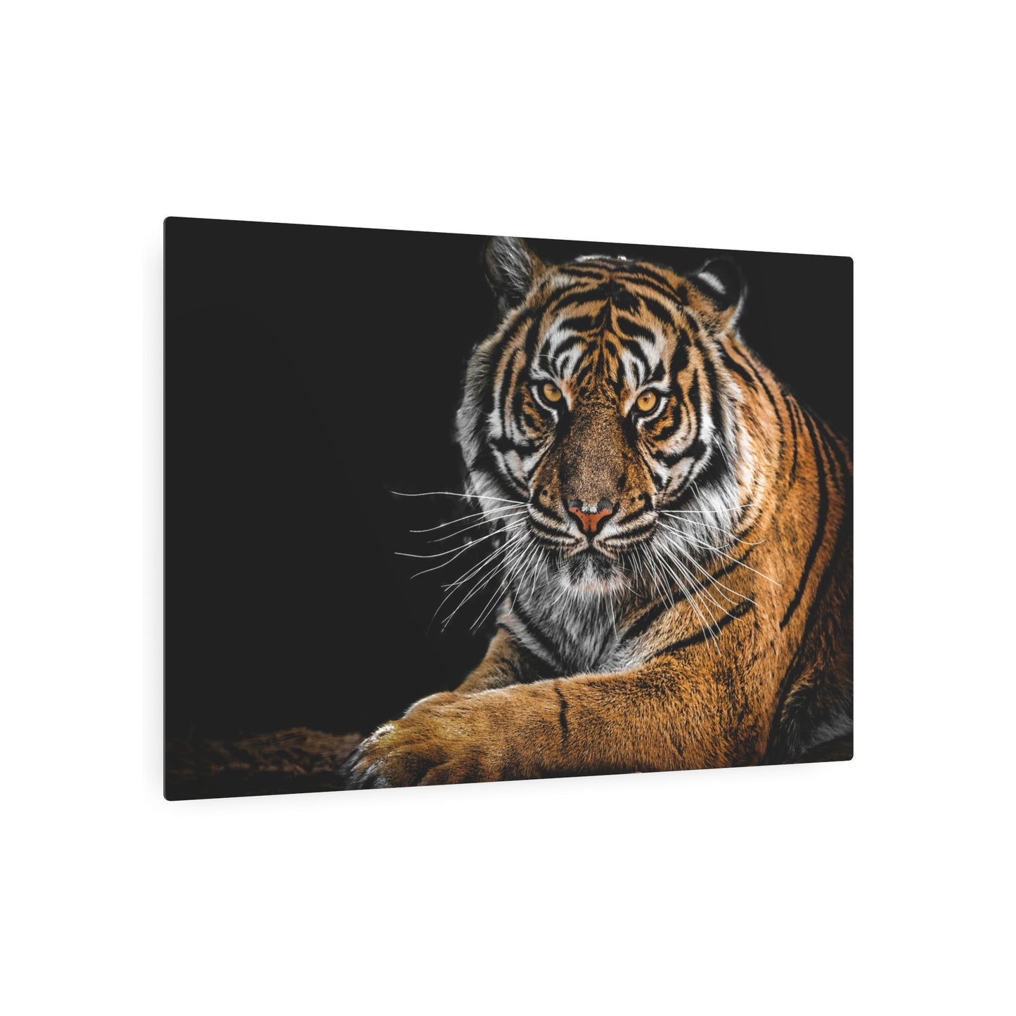 Metal Wall Art, Tiger Decor, Animal Lover Gift, Home Wall Decor, Unique Artwork, Nature Lover Gift