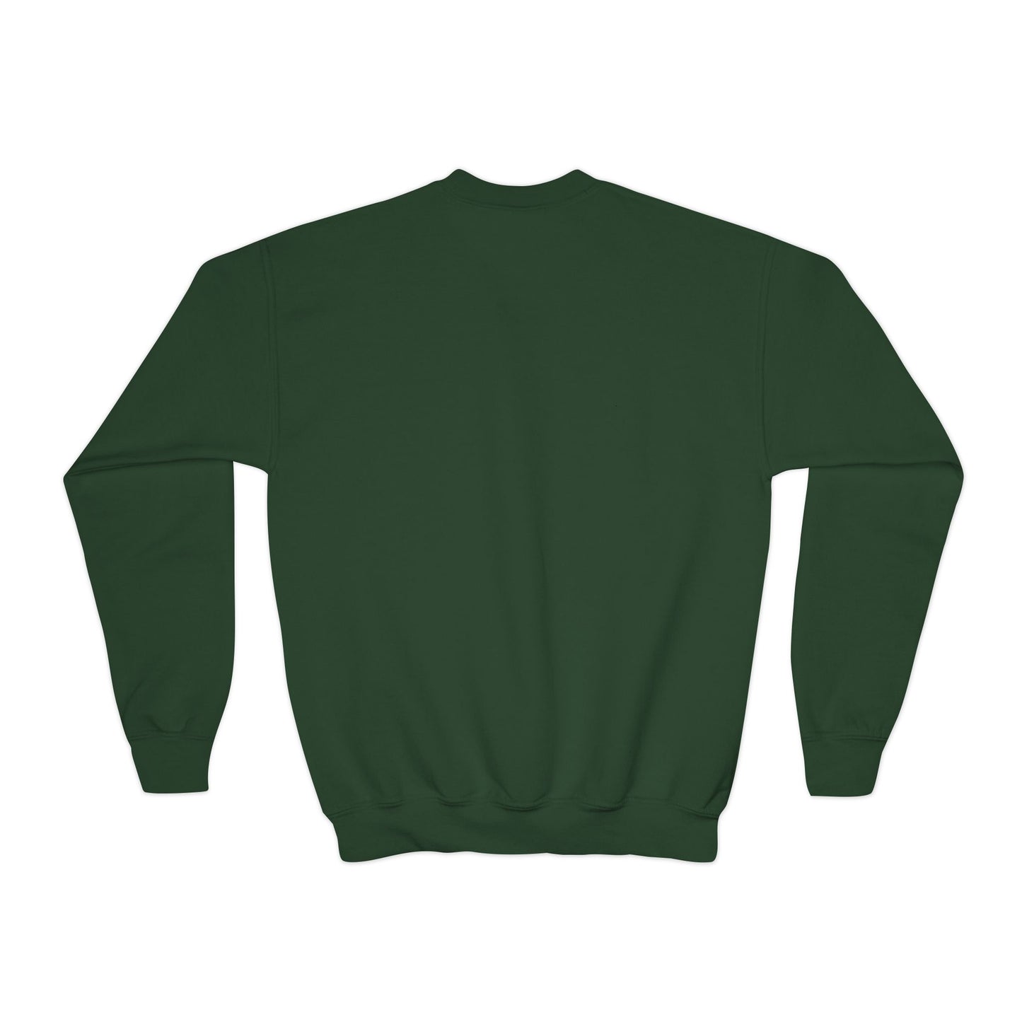 Cool Tiger Youth Crewneck Sweatshirt, Cute Animal Apparel, Teen Style, Gift for Kids, Casual Wear