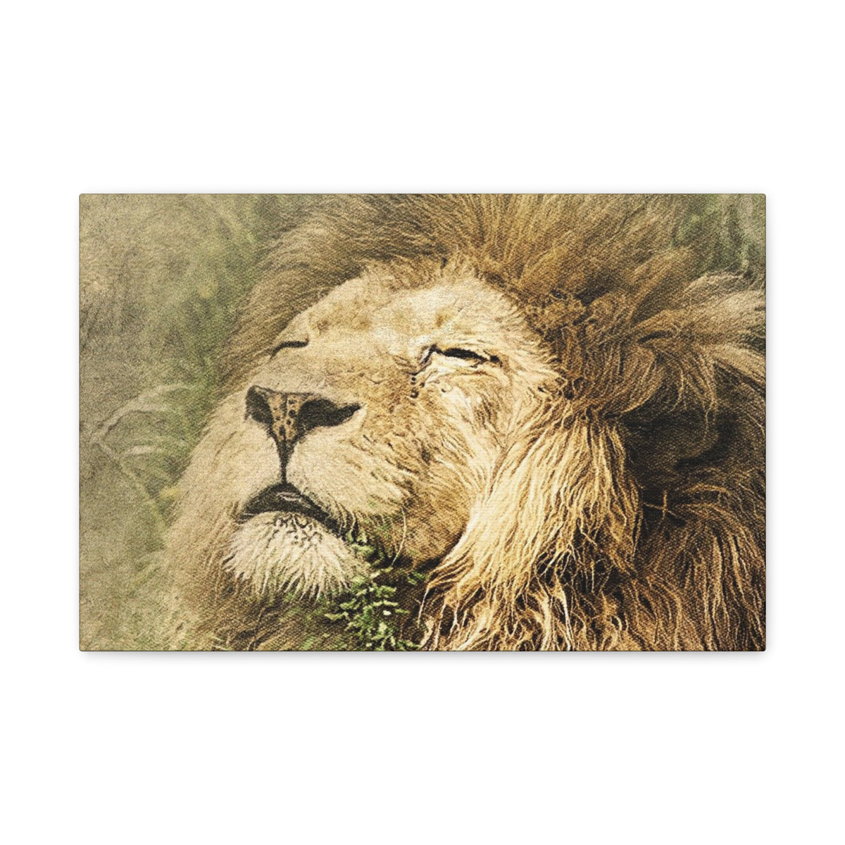 Lion Portrait Matte Canvas Print — Stretched 1.25" Wall Art