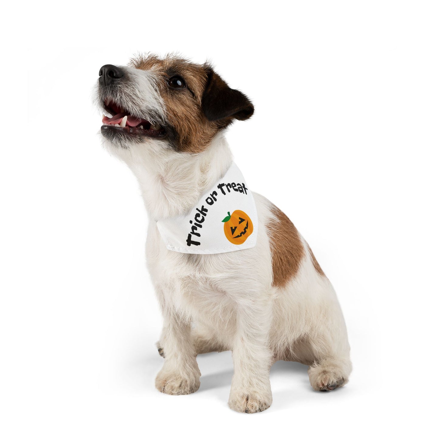 Halloween Pet Bandana, Trick or Treat Dog Collar, Cute Pet Costume Accessory, Fall Pet Apparel, Dog Bandana