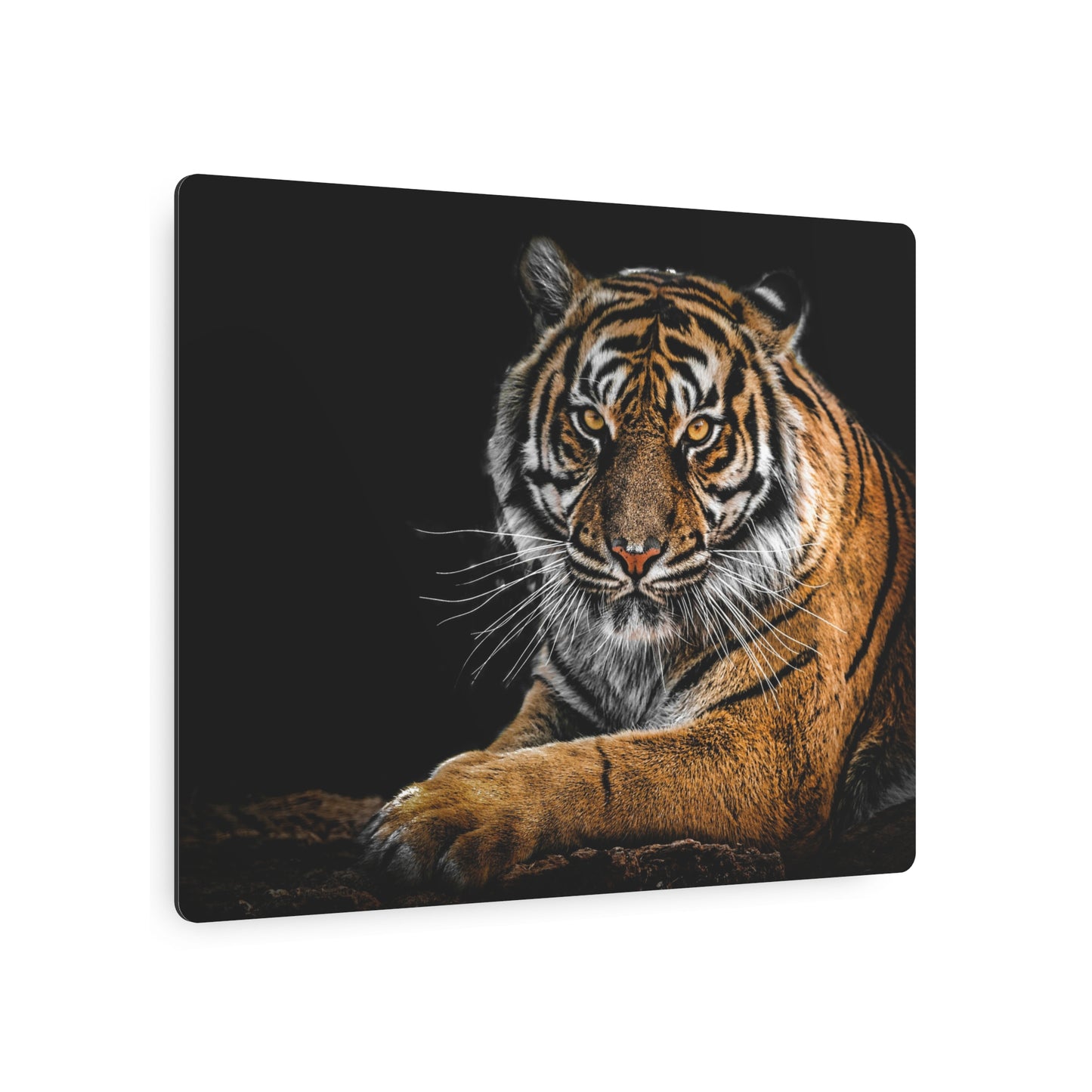 Metal Wall Art, Tiger Decor, Animal Lover Gift, Home Wall Decor, Unique Artwork, Nature Lover Gift