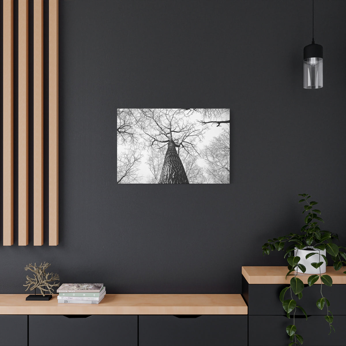 Black & White Tree Canopy Matte Canvas Wall Art — Upward Forest Photography