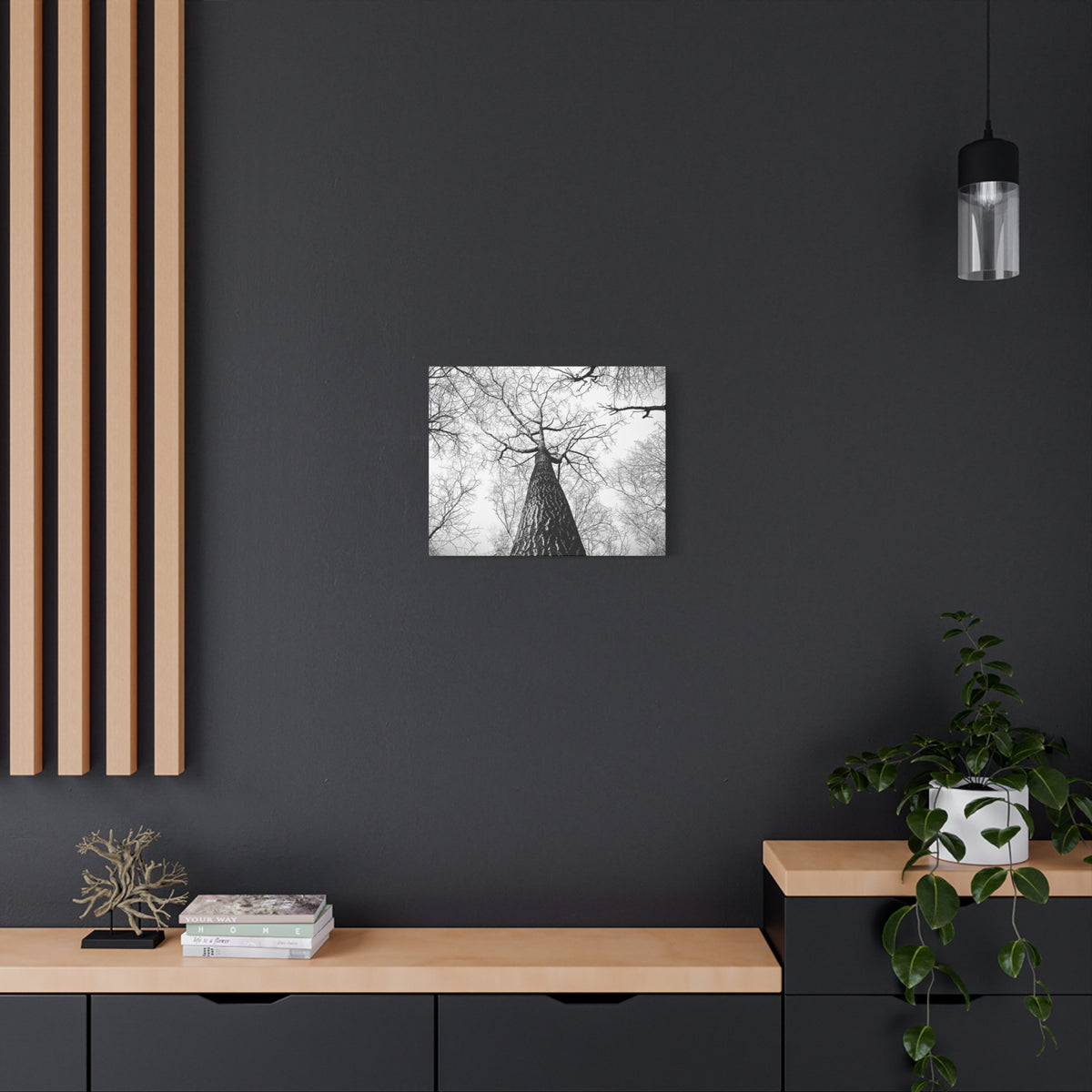 Black & White Tree Canopy Matte Canvas Wall Art — Upward Forest Photography