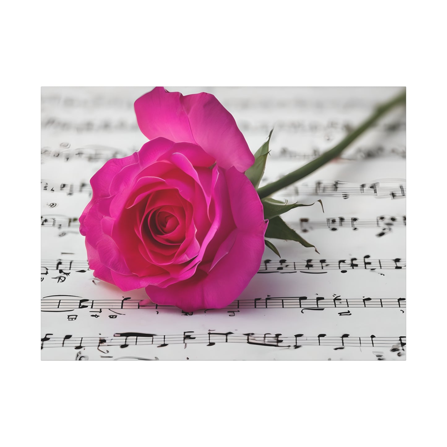 Stretched Canvas Art Print, Classic Rose on Sheet Music, Floral Wall Decor, Home Decoration, Gift for Music Lovers