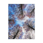 Winter Tree Canopy Matte Canvas Wall Art — Stretched 1.25"