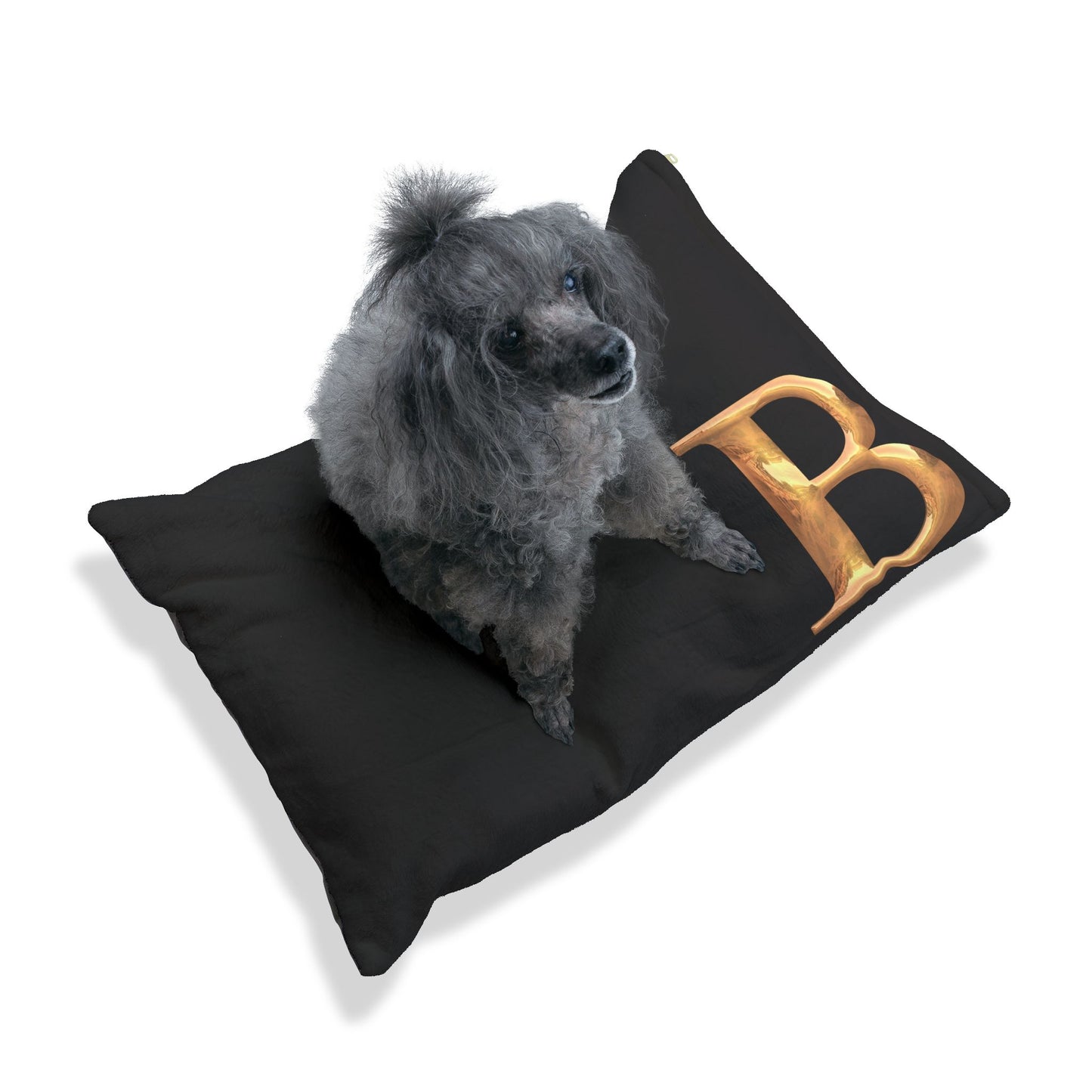 Personalized Pet Bed with Gold Letter Design, Cozy Dog Bed, Custom Cat Bed, Comfy Pet Mattress, Pet Gift for Dog Lovers