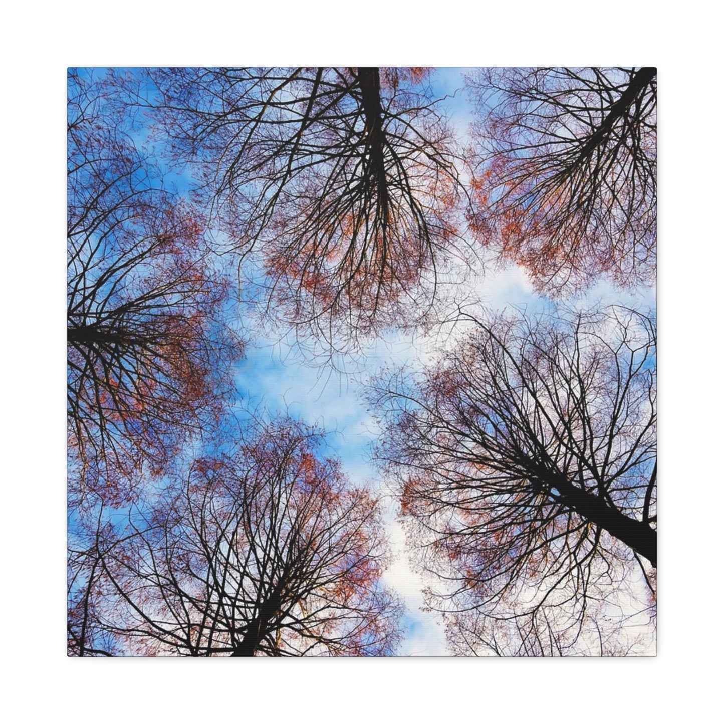Winter Tree Canopy Matte Canvas Wall Art — Stretched 1.25"