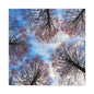 Winter Tree Canopy Matte Canvas Wall Art — Stretched 1.25"