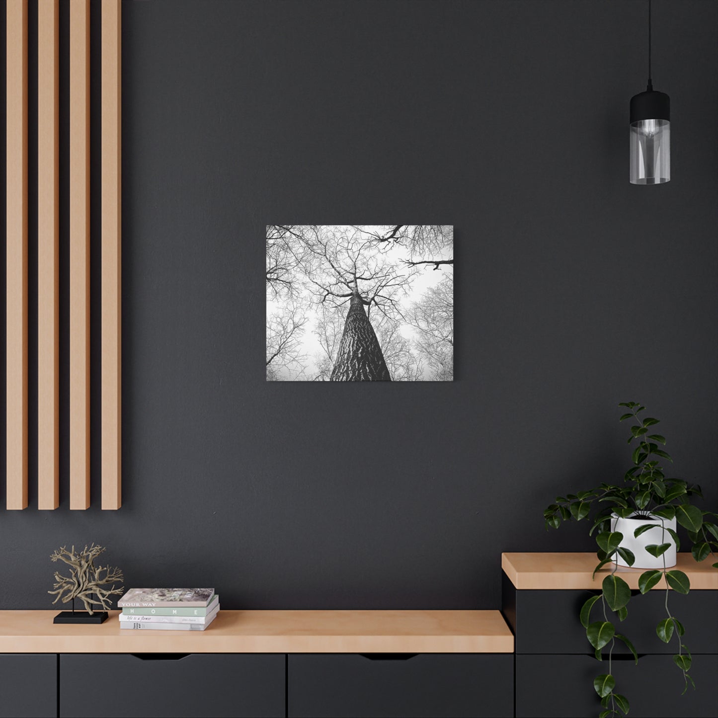 Black & White Tree Canopy Matte Canvas Wall Art — Upward Forest Photography