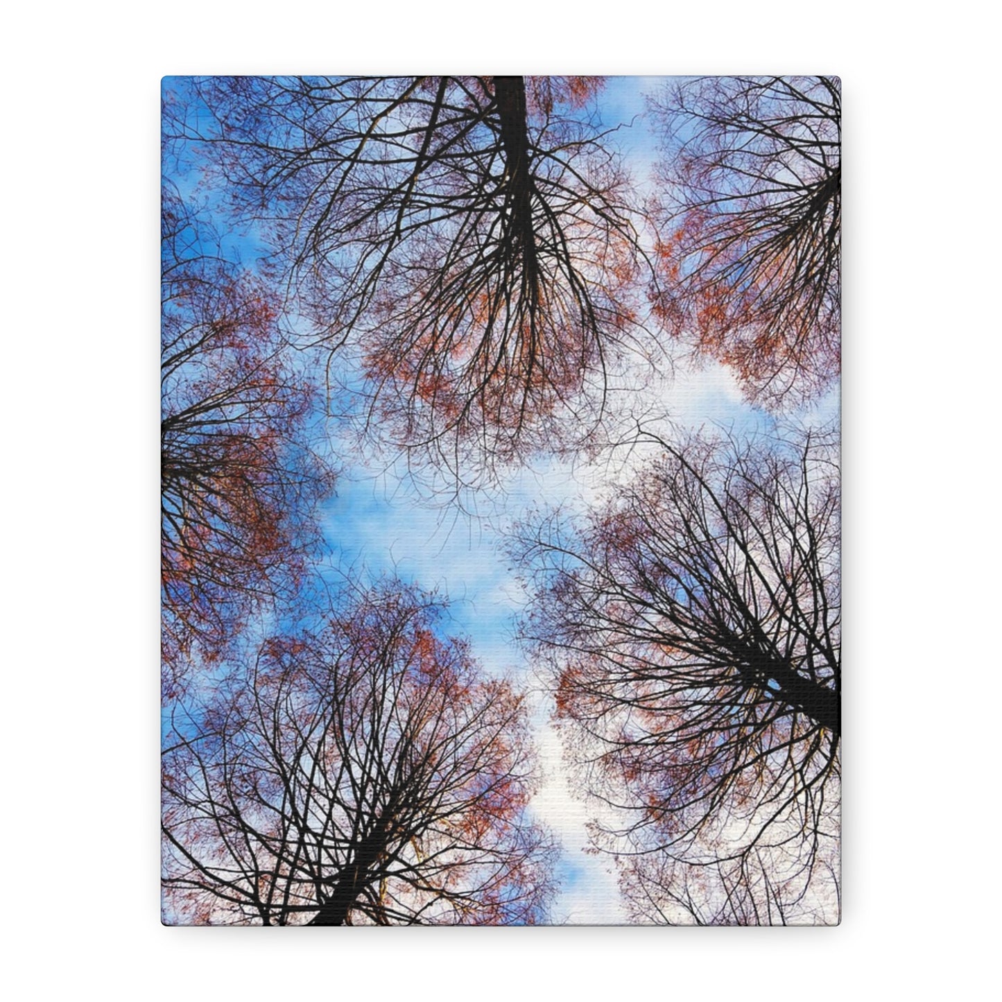 Winter Tree Canopy Matte Canvas Wall Art — Stretched 1.25"