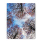 Winter Tree Canopy Matte Canvas Wall Art — Stretched 1.25"