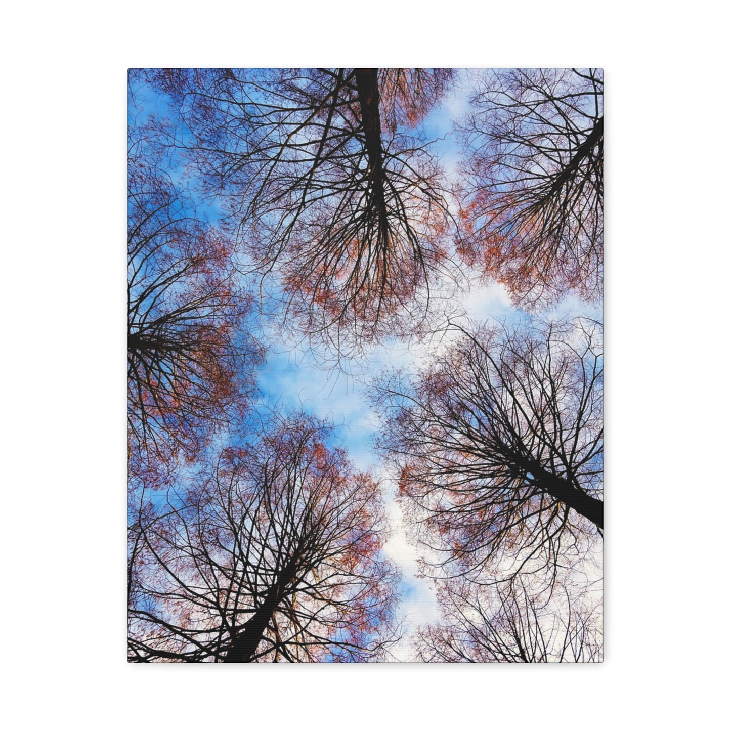 Winter Tree Canopy Matte Canvas Wall Art — Stretched 1.25"