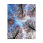 Winter Tree Canopy Matte Canvas Wall Art — Stretched 1.25"