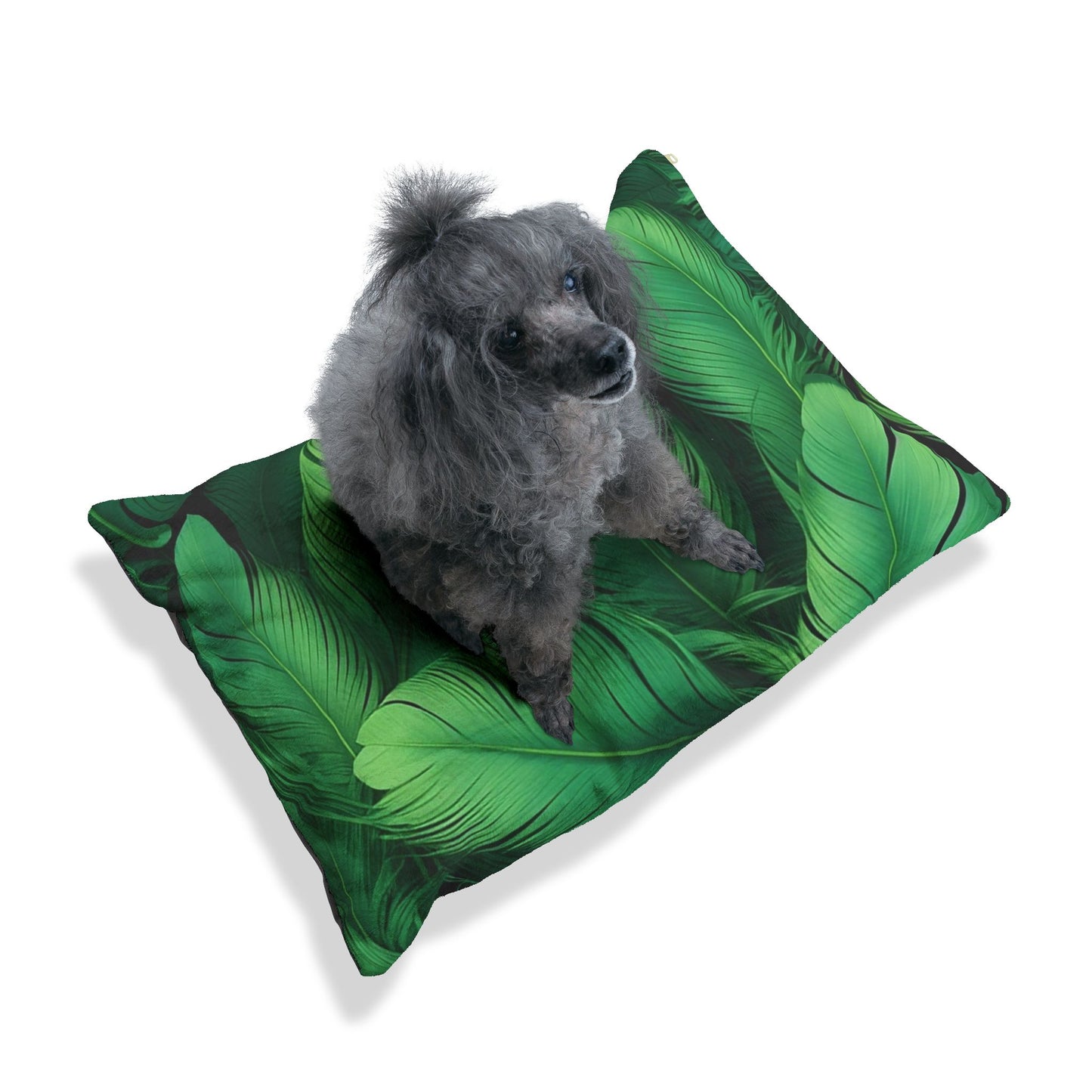 Tropical Pet Bed - Cozy, Stylish Dog & Cat Bed for Home Decor, Pet Accessories, Unique Pet Gift, Indoor Comfort