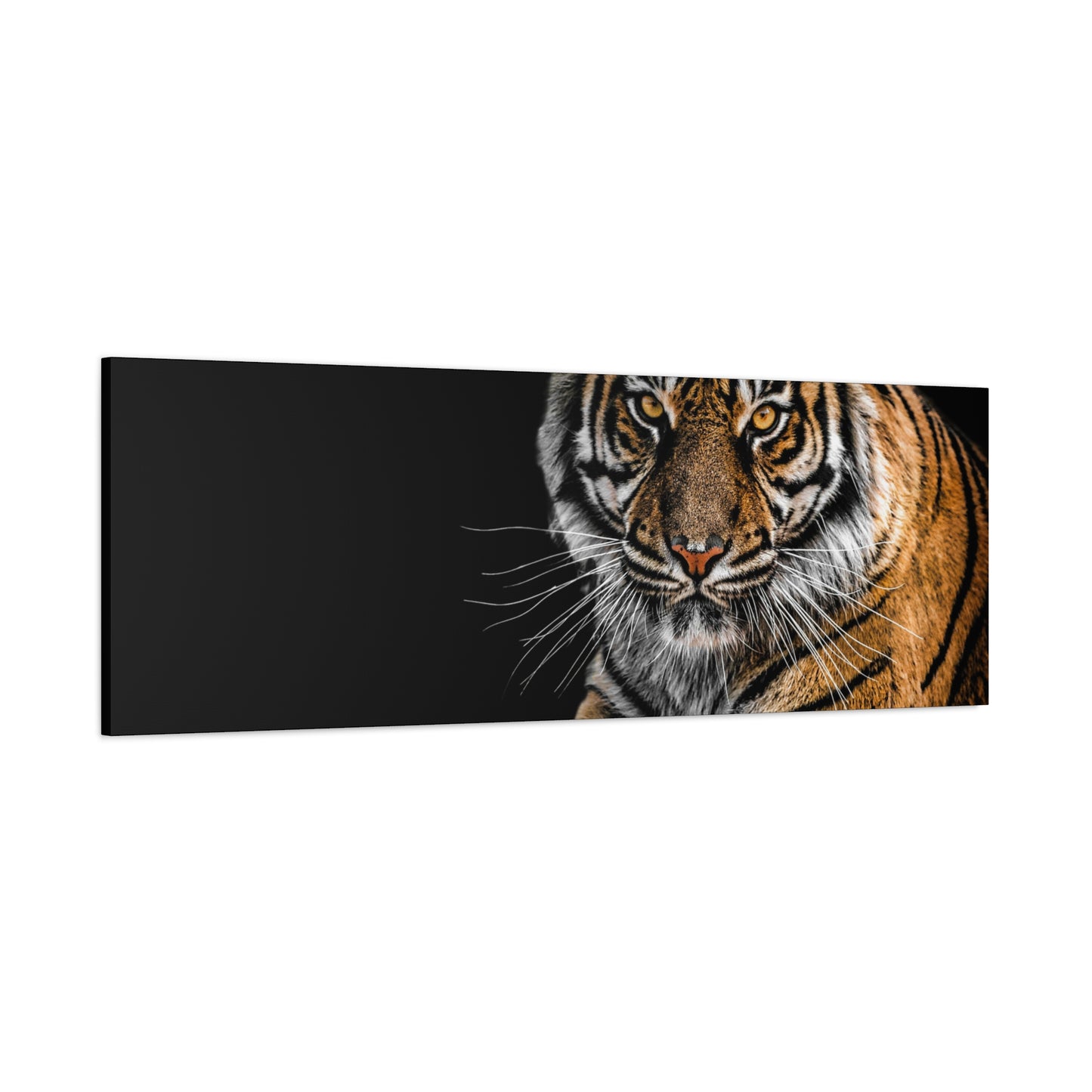 Majestic Tiger Canvas Art, Perfect for Animal Lovers, Home Decor, Gift for Wildlife Enthusiasts, Modern Wall Art, 1.25" Depth