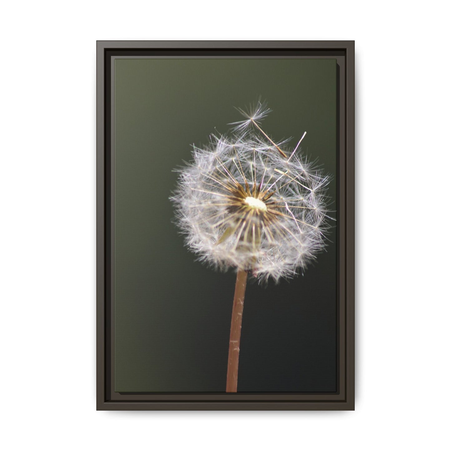 Framed Dandelion Canvas Print — Matte Botanical Wall Art