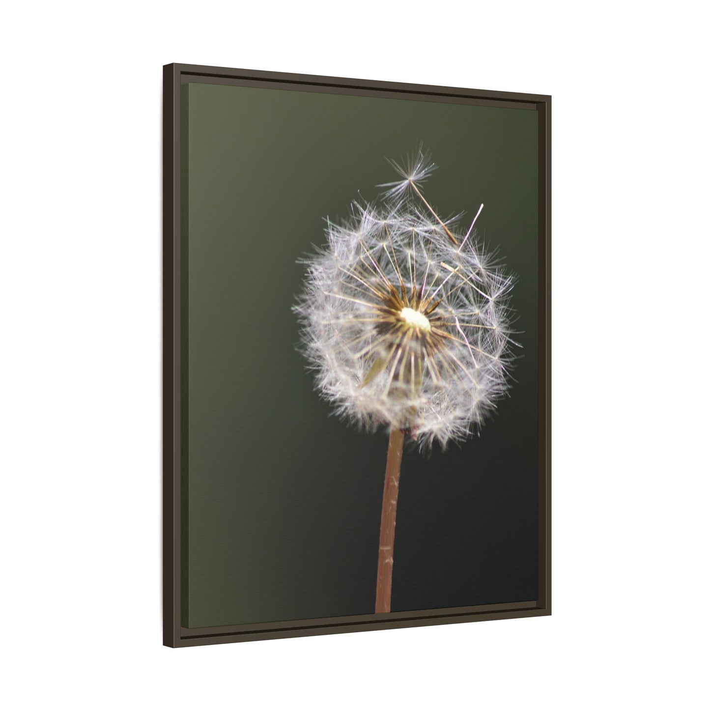 Framed Dandelion Canvas Print — Matte Botanical Wall Art