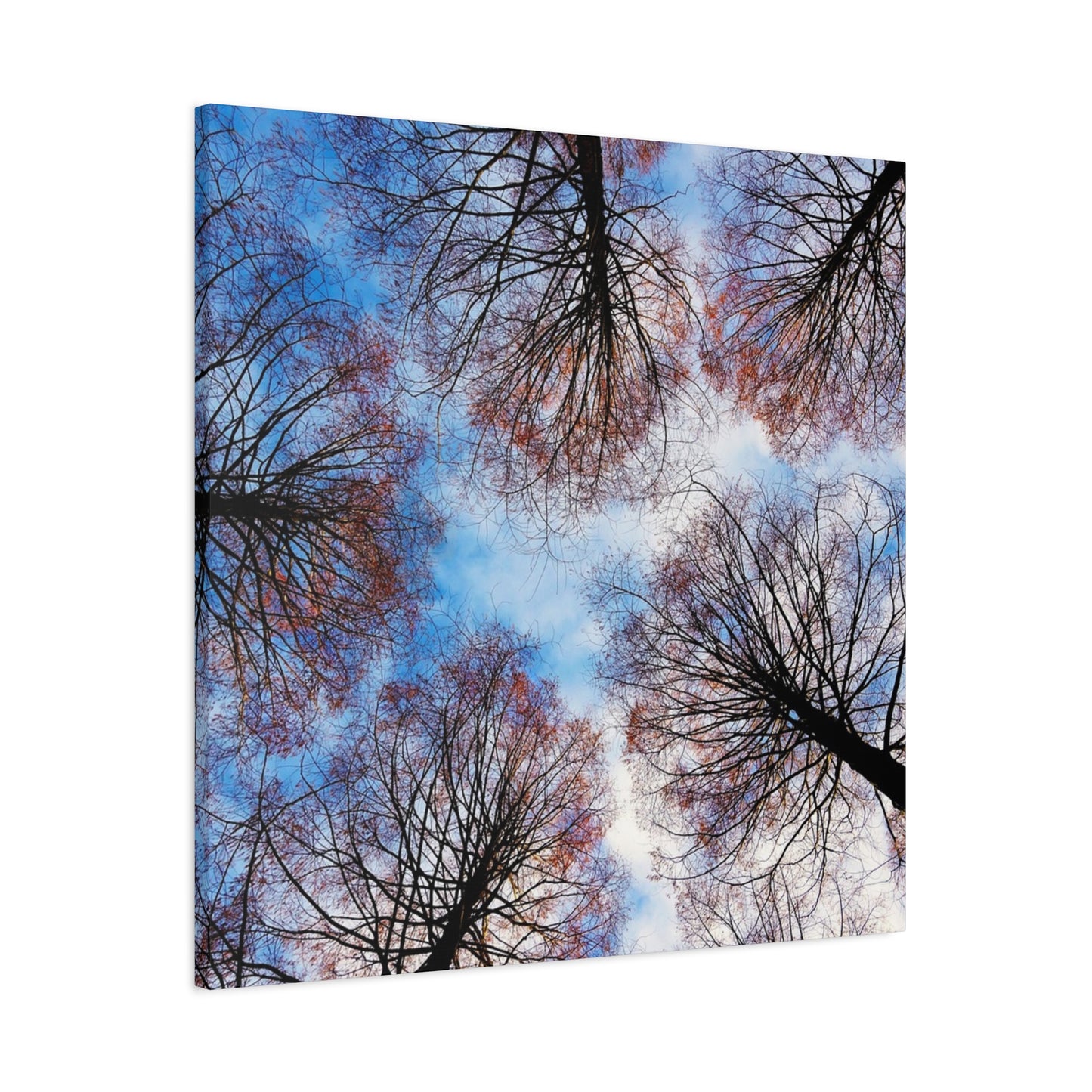 Winter Tree Canopy Matte Canvas Wall Art — Stretched 1.25"
