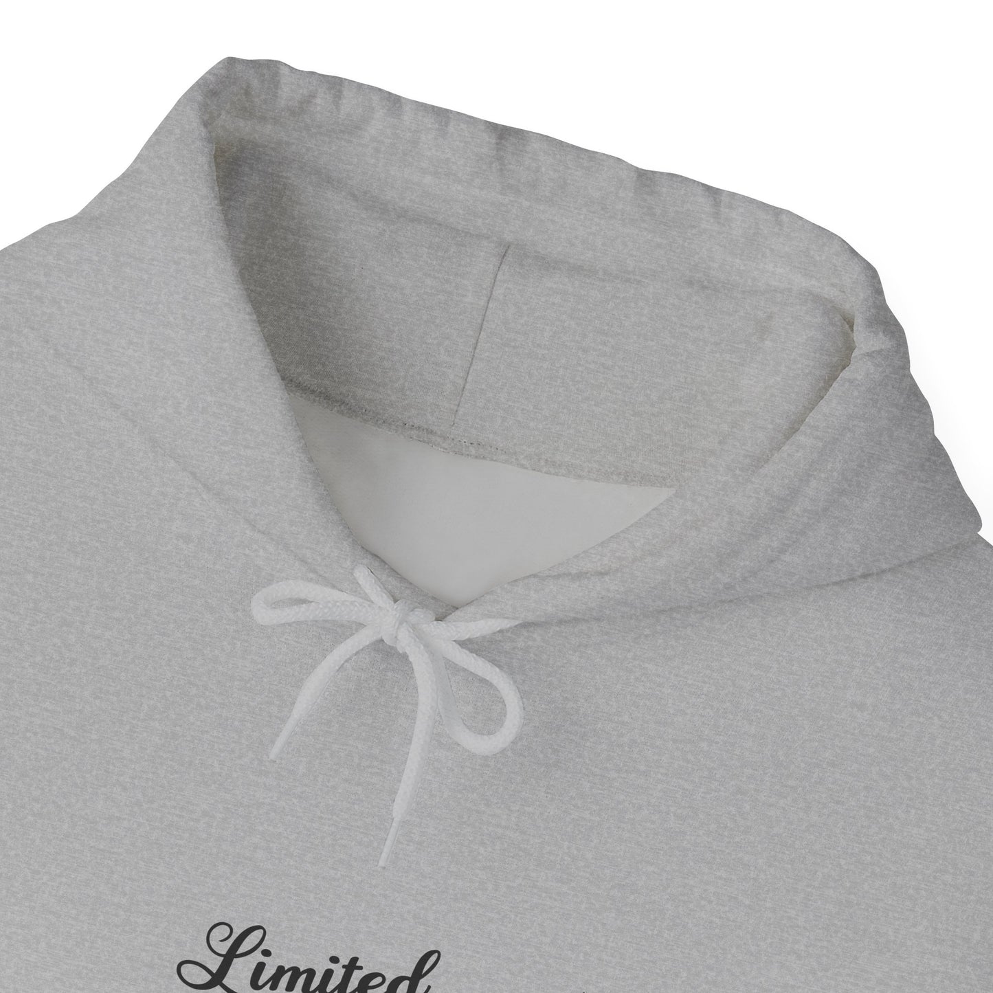 Limited Edition Unisex Heavy Blend Hoodie – Cozy Layer, Casual Style, Perfect Gift, Everyday Wear, Trendy Sweatshirt